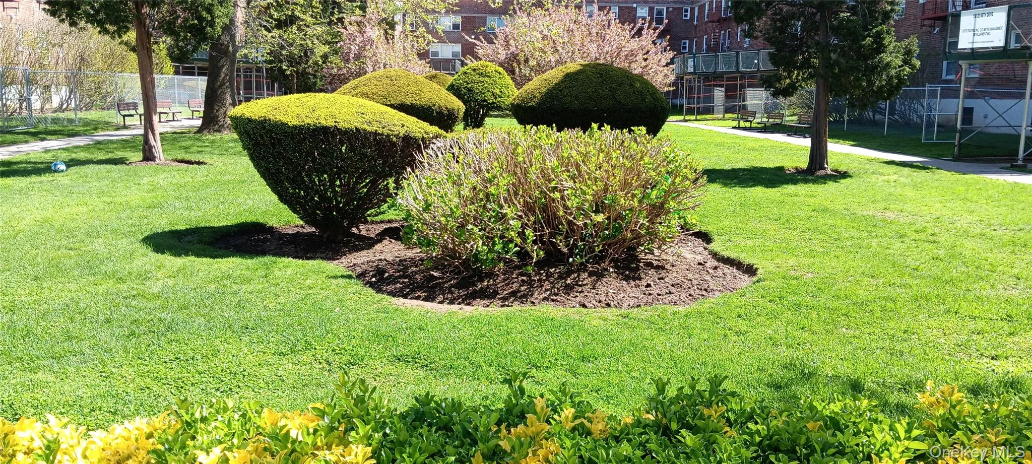 13824 68th Drive, New York, NY, 2 Bedrooms Bedrooms, 5 Rooms Rooms,1 BathroomBathrooms,Residential Sale,For Rent,68th,0,991466 13824 68th Drive, New York, NY, 2 Bedrooms Bedrooms, 5 Rooms Rooms,1 BathroomBathrooms,Residential Sale,For Rent,68th,0,991466
