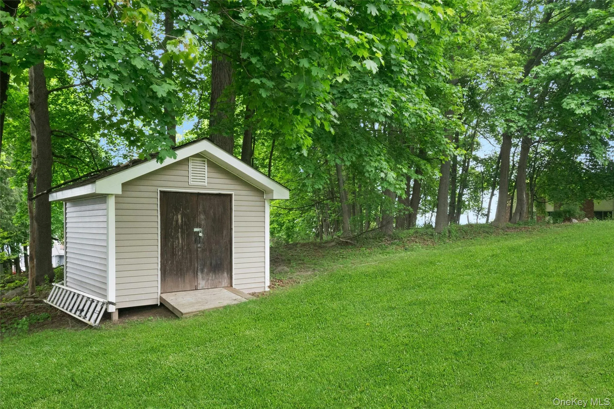 Shed (Legal) Shed (Legal)