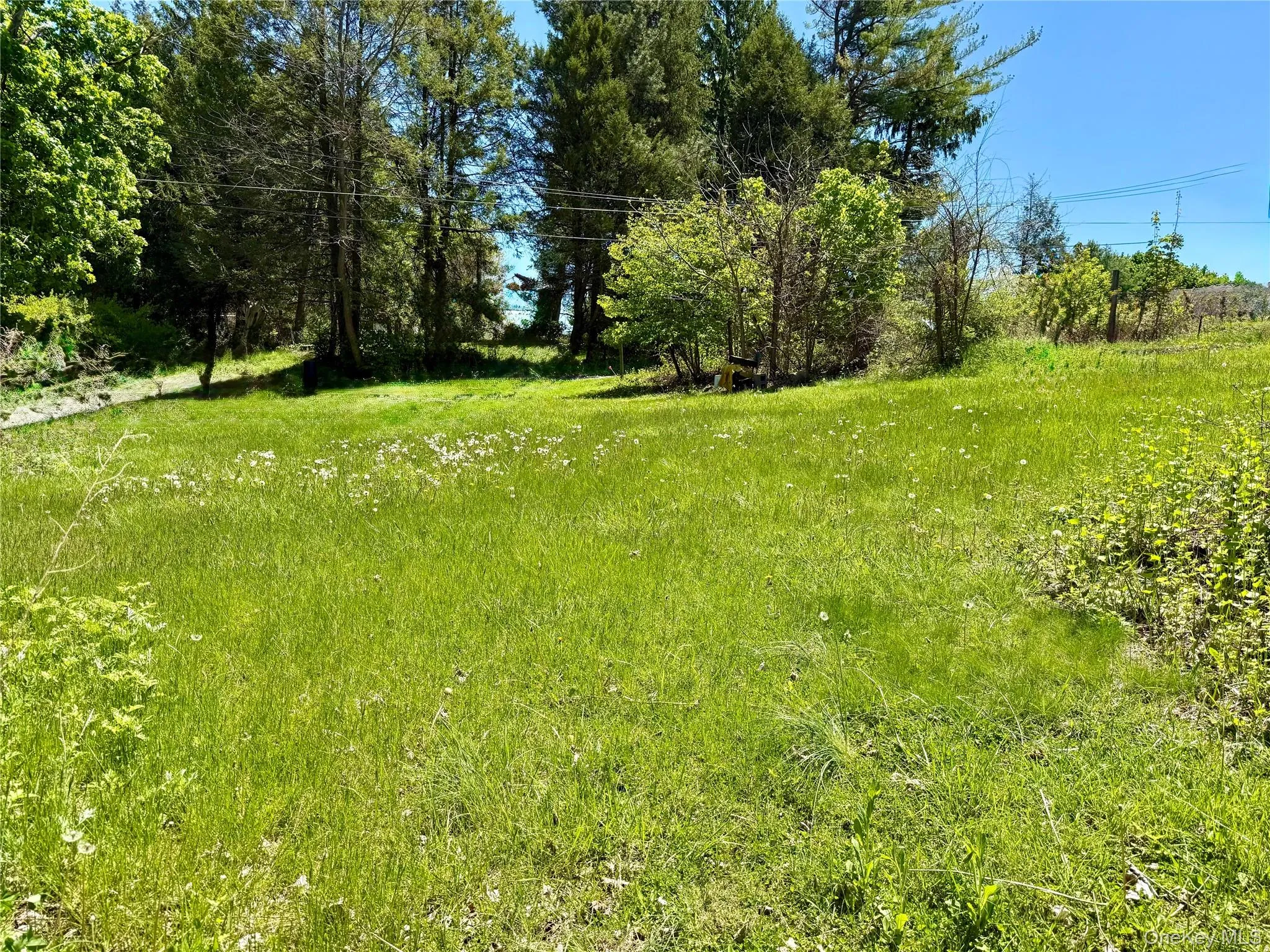 Walnut Street, Pawling, NY, ,Land,For Rent,Walnut,0,991495 Walnut Street, Pawling, NY, ,Land,For Rent,Walnut,0,991495