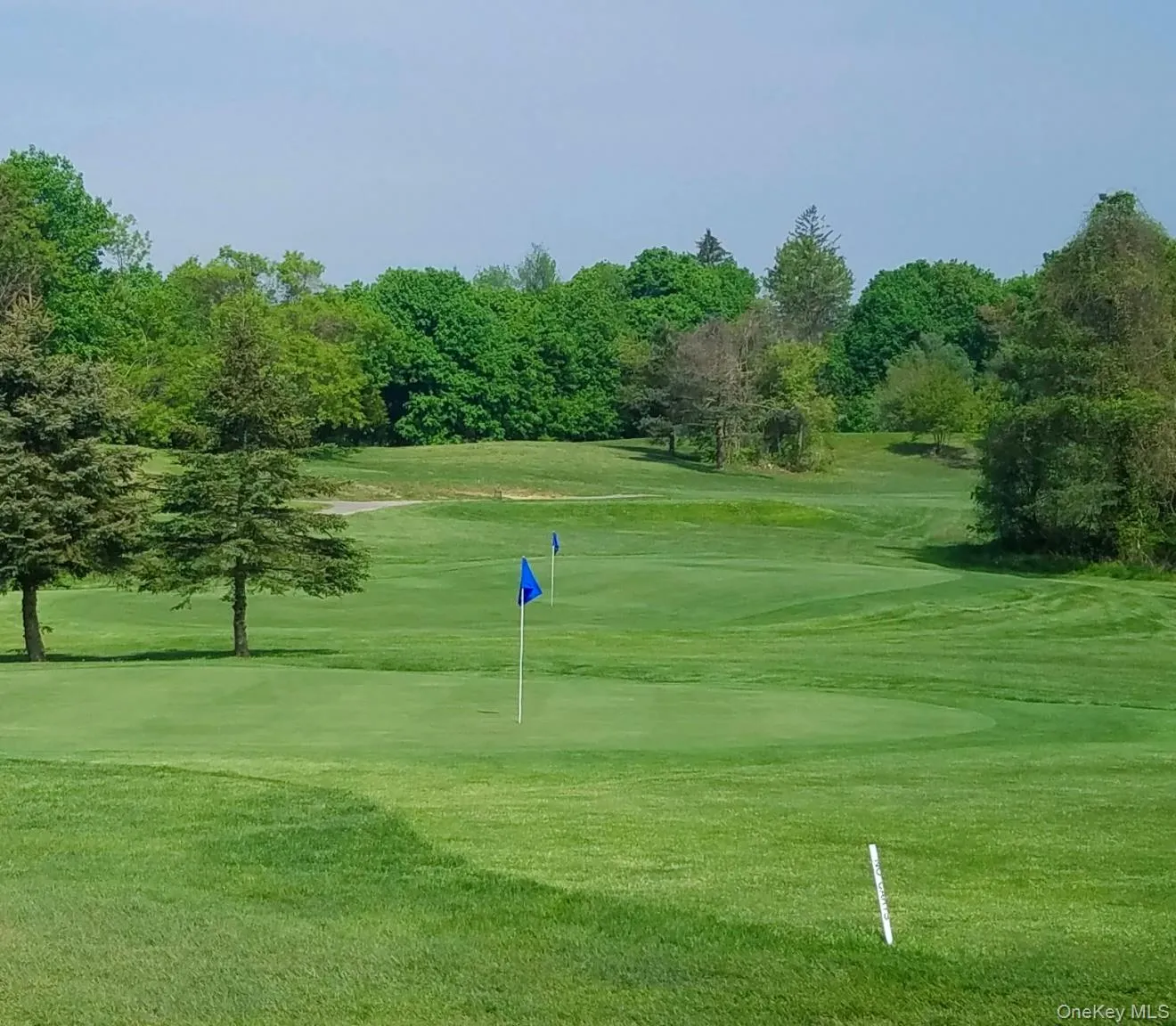 DUTCHER GOLF COURSE IS A 9-HOLE BEAUTY! THIS IS THE OLDEST PUBLIC GOLF COURSE IN AMERICA. IT WAS RECENTLY DESIGNATED AS A HISTORIC BUSINESS! DUTCHER GOLF COURSE IS A 9-HOLE BEAUTY! THIS IS THE OLDEST PUBLIC GOLF COURSE IN AMERICA. IT WAS RECENTLY DESIGNATED AS A HISTORIC BUSINESS!