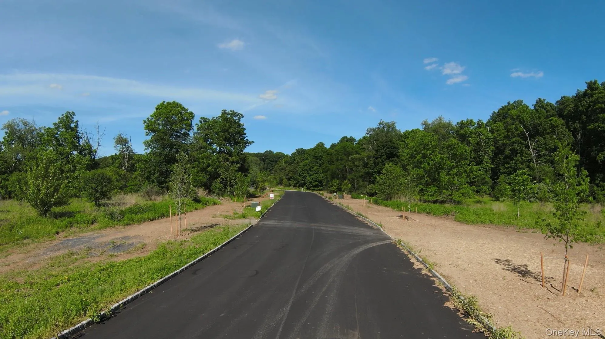 21 Arrowhead Lane, Minisink, NY, ,Land,For Rent,Arrowhead,0,991501 21 Arrowhead Lane, Minisink, NY, ,Land,For Rent,Arrowhead,0,991501