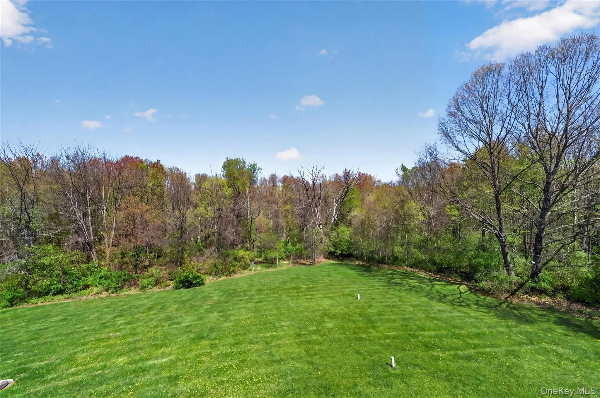 2 Primrose Lane, Chester Town, NY, 4 Bedrooms Bedrooms, 11 Rooms Rooms,3 BathroomsBathrooms,Residential Sale,For Rent,Primrose,0,991517 2 Primrose Lane, Chester Town, NY, 4 Bedrooms Bedrooms, 11 Rooms Rooms,3 BathroomsBathrooms,Residential Sale,For Rent,Primrose,0,991517