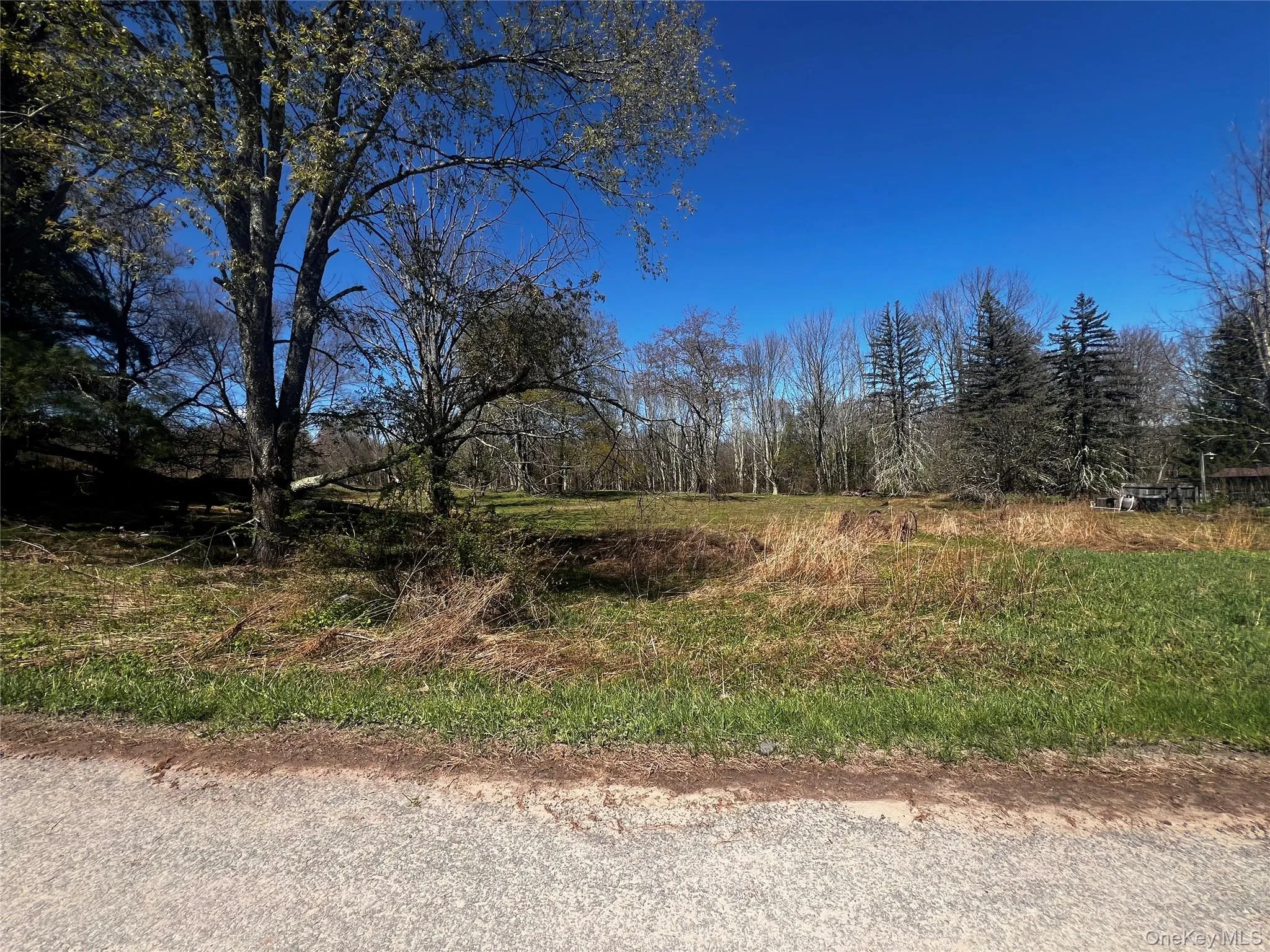 93 Cal Stewart Road, Bethel, NY, ,Land,For Rent,Cal Stewart,0,991521 93 Cal Stewart Road, Bethel, NY, ,Land,For Rent,Cal Stewart,0,991521