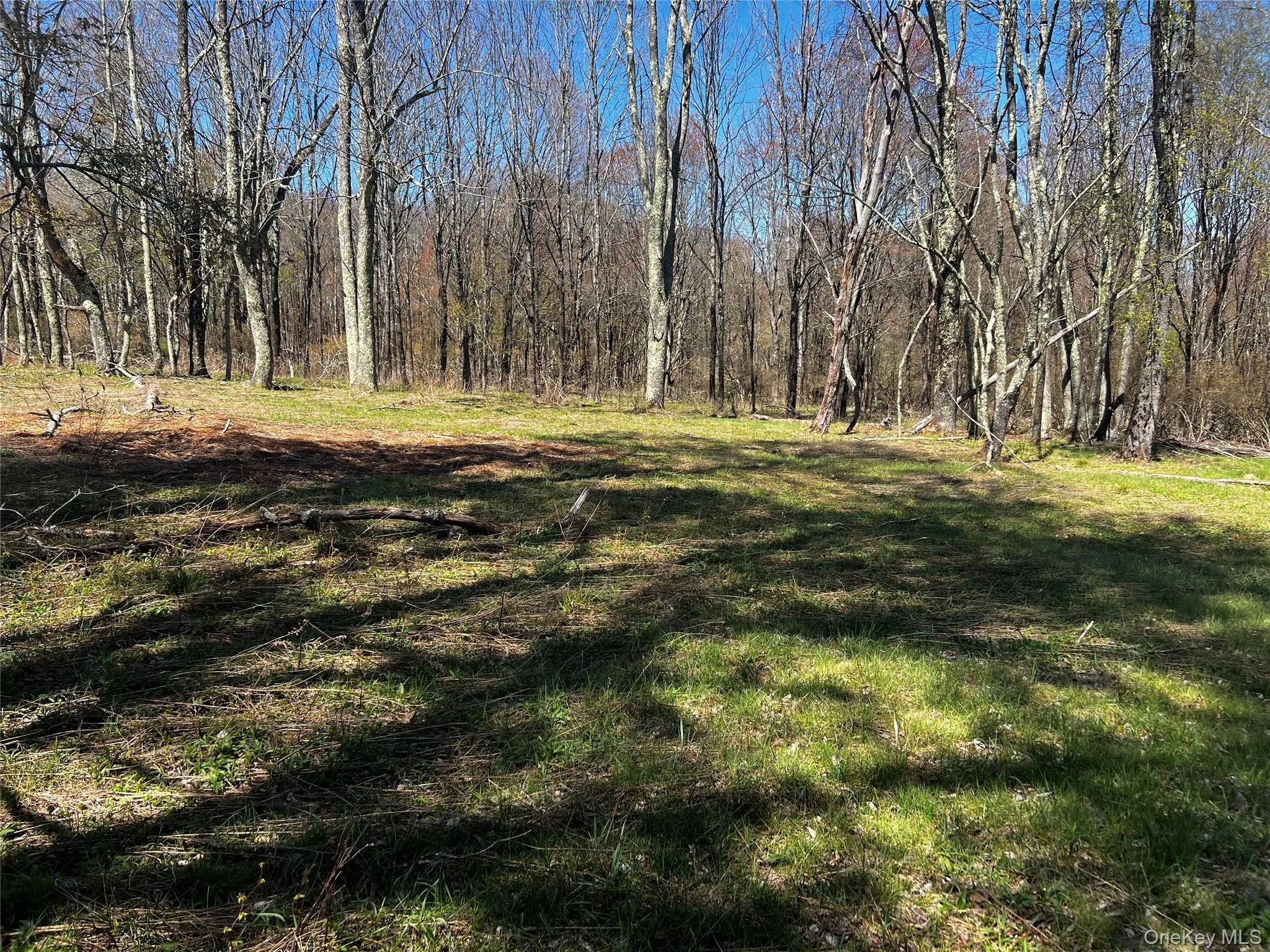 93 Cal Stewart Road, Bethel, NY, ,Land,For Rent,Cal Stewart,0,991521 93 Cal Stewart Road, Bethel, NY, ,Land,For Rent,Cal Stewart,0,991521