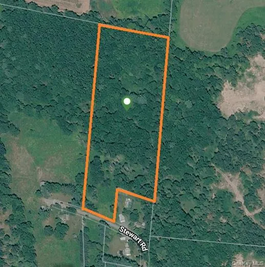 93 Cal Stewart Road, Bethel, NY, ,Land,For Rent,Cal Stewart,0,991521 93 Cal Stewart Road, Bethel, NY, ,Land,For Rent,Cal Stewart,0,991521