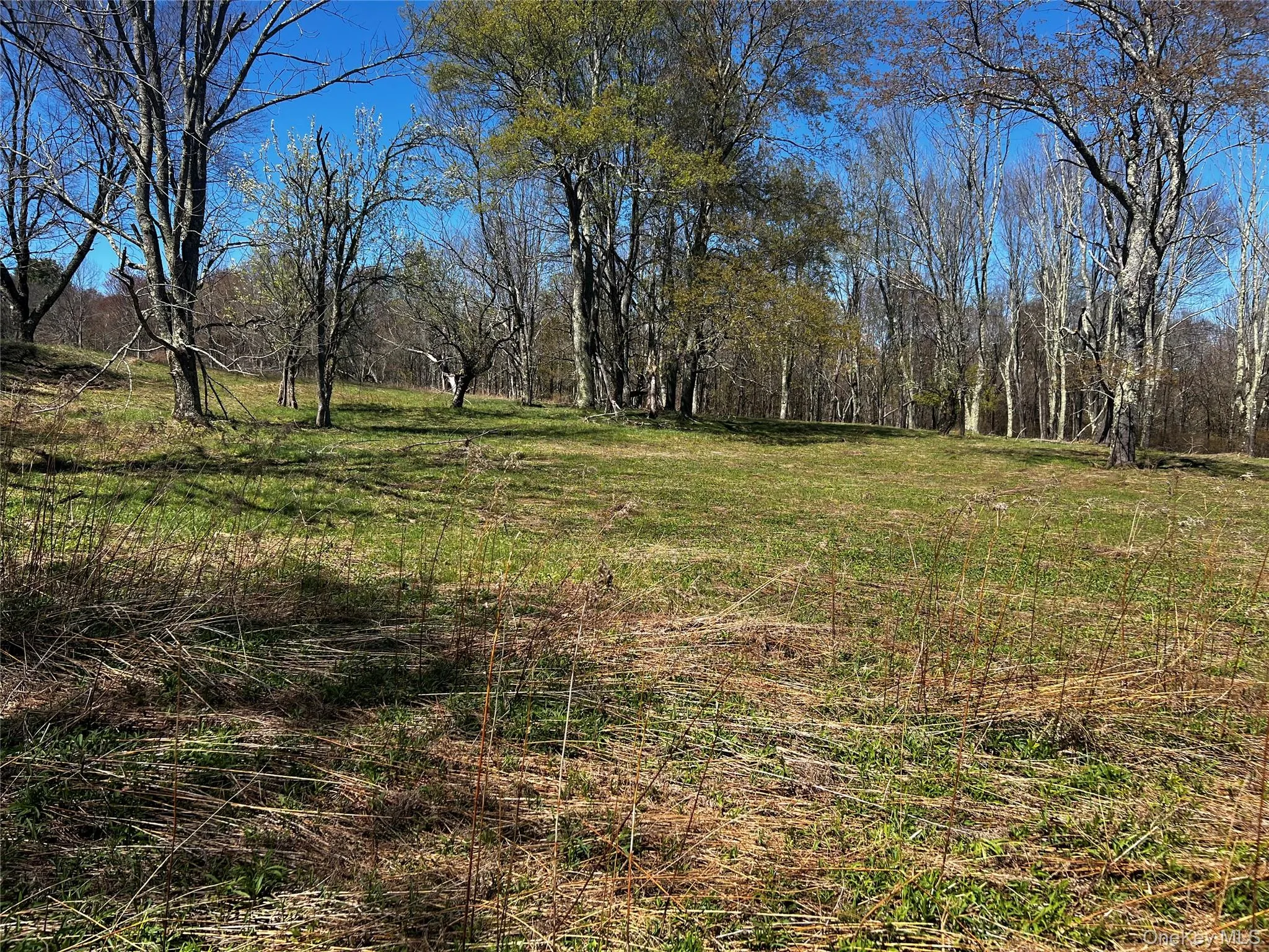 93 Cal Stewart Road, Bethel, NY, ,Land,For Rent,Cal Stewart,0,991521 93 Cal Stewart Road, Bethel, NY, ,Land,For Rent,Cal Stewart,0,991521