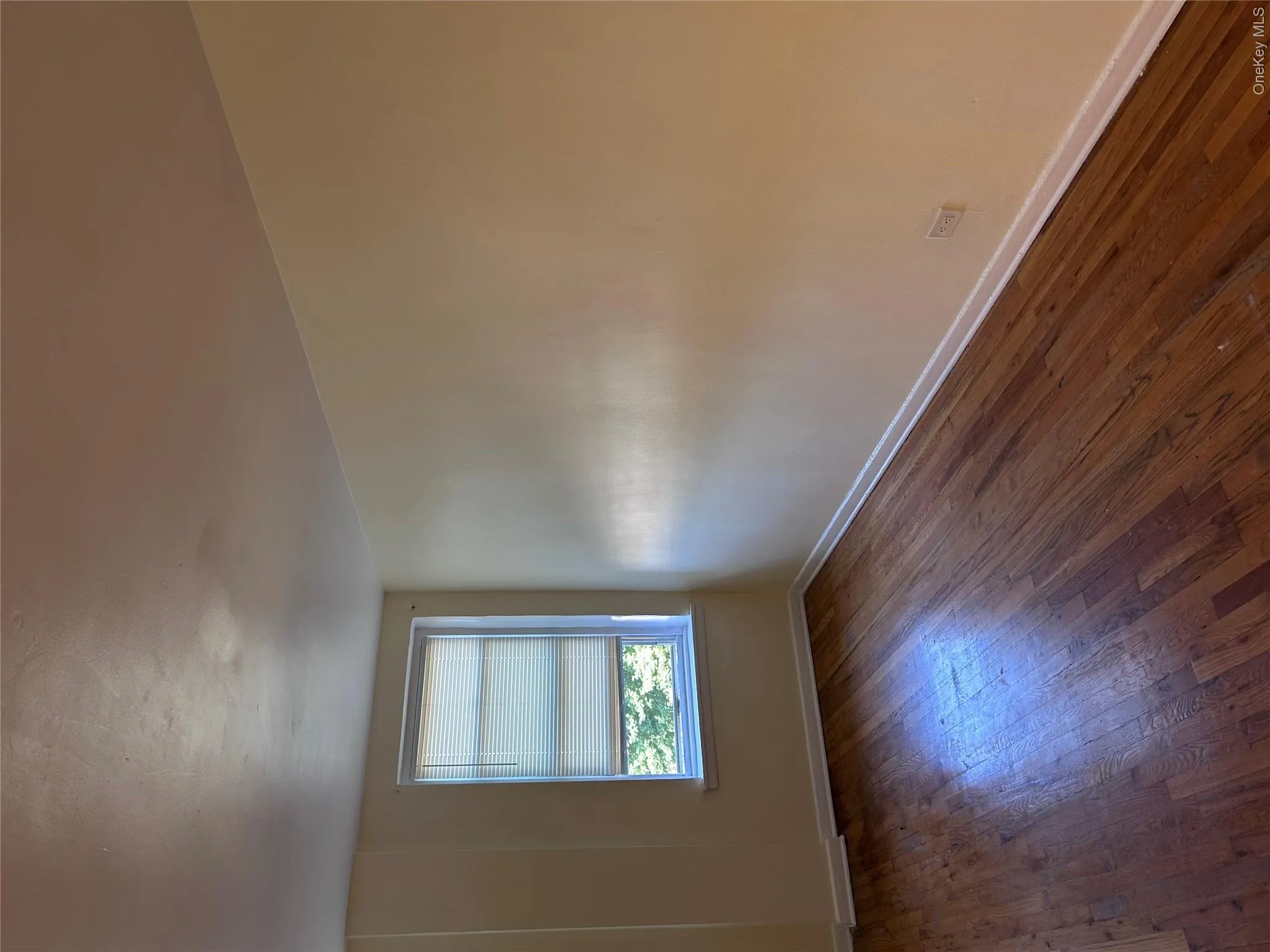 84-50 169 Jamaica, New York, NY, 1 Bedroom Bedrooms, 2 Rooms Rooms,Residential,For Rent,Jamaica,0,991550 84-50 169 Jamaica, New York, NY, 1 Bedroom Bedrooms, 2 Rooms Rooms,Residential,For Rent,Jamaica,0,991550