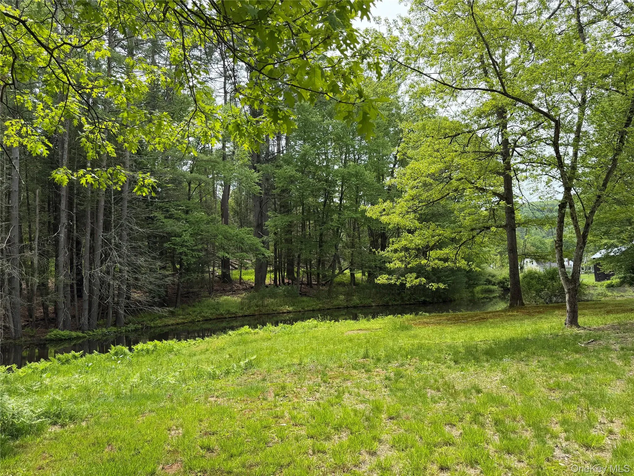 21 Hoffmann Street, Fremont, NY, 3 Bedrooms Bedrooms, 5 Rooms Rooms,2 BathroomsBathrooms,Residential,For Rent,Hoffmann,0,991587 21 Hoffmann Street, Fremont, NY, 3 Bedrooms Bedrooms, 5 Rooms Rooms,2 BathroomsBathrooms,Residential,For Rent,Hoffmann,0,991587