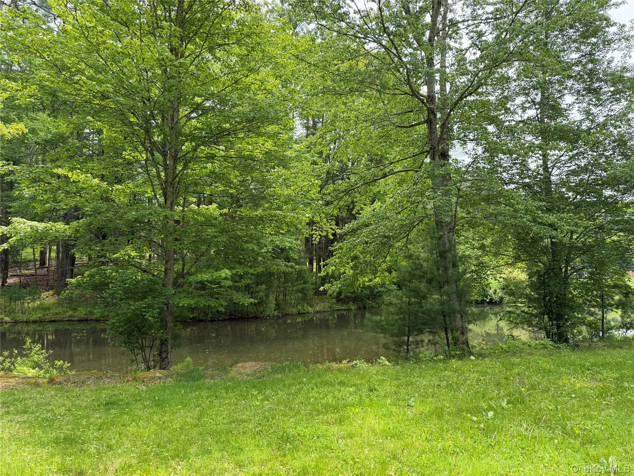 21 Hoffmann Street, Fremont, NY, 3 Bedrooms Bedrooms, 5 Rooms Rooms,2 BathroomsBathrooms,Residential,For Rent,Hoffmann,0,991587 21 Hoffmann Street, Fremont, NY, 3 Bedrooms Bedrooms, 5 Rooms Rooms,2 BathroomsBathrooms,Residential,For Rent,Hoffmann,0,991587