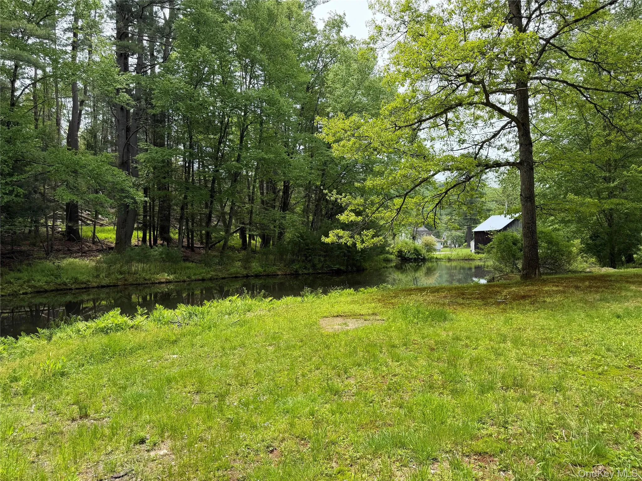 21 Hoffmann Street, Fremont, NY, 3 Bedrooms Bedrooms, 5 Rooms Rooms,2 BathroomsBathrooms,Residential,For Rent,Hoffmann,0,991587 21 Hoffmann Street, Fremont, NY, 3 Bedrooms Bedrooms, 5 Rooms Rooms,2 BathroomsBathrooms,Residential,For Rent,Hoffmann,0,991587