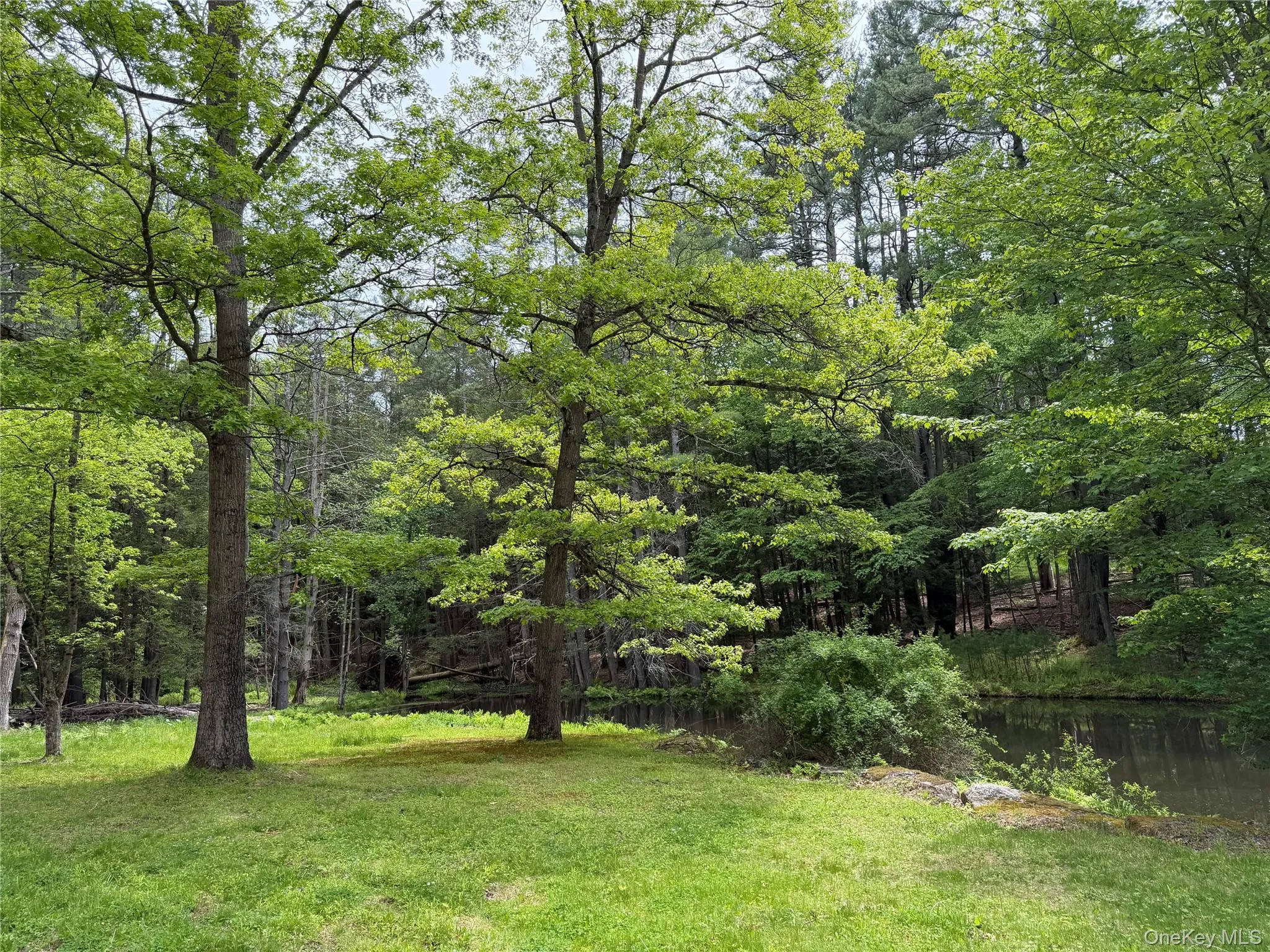21 Hoffmann Street, Fremont, NY, 3 Bedrooms Bedrooms, 5 Rooms Rooms,2 BathroomsBathrooms,Residential,For Rent,Hoffmann,0,991587 21 Hoffmann Street, Fremont, NY, 3 Bedrooms Bedrooms, 5 Rooms Rooms,2 BathroomsBathrooms,Residential,For Rent,Hoffmann,0,991587