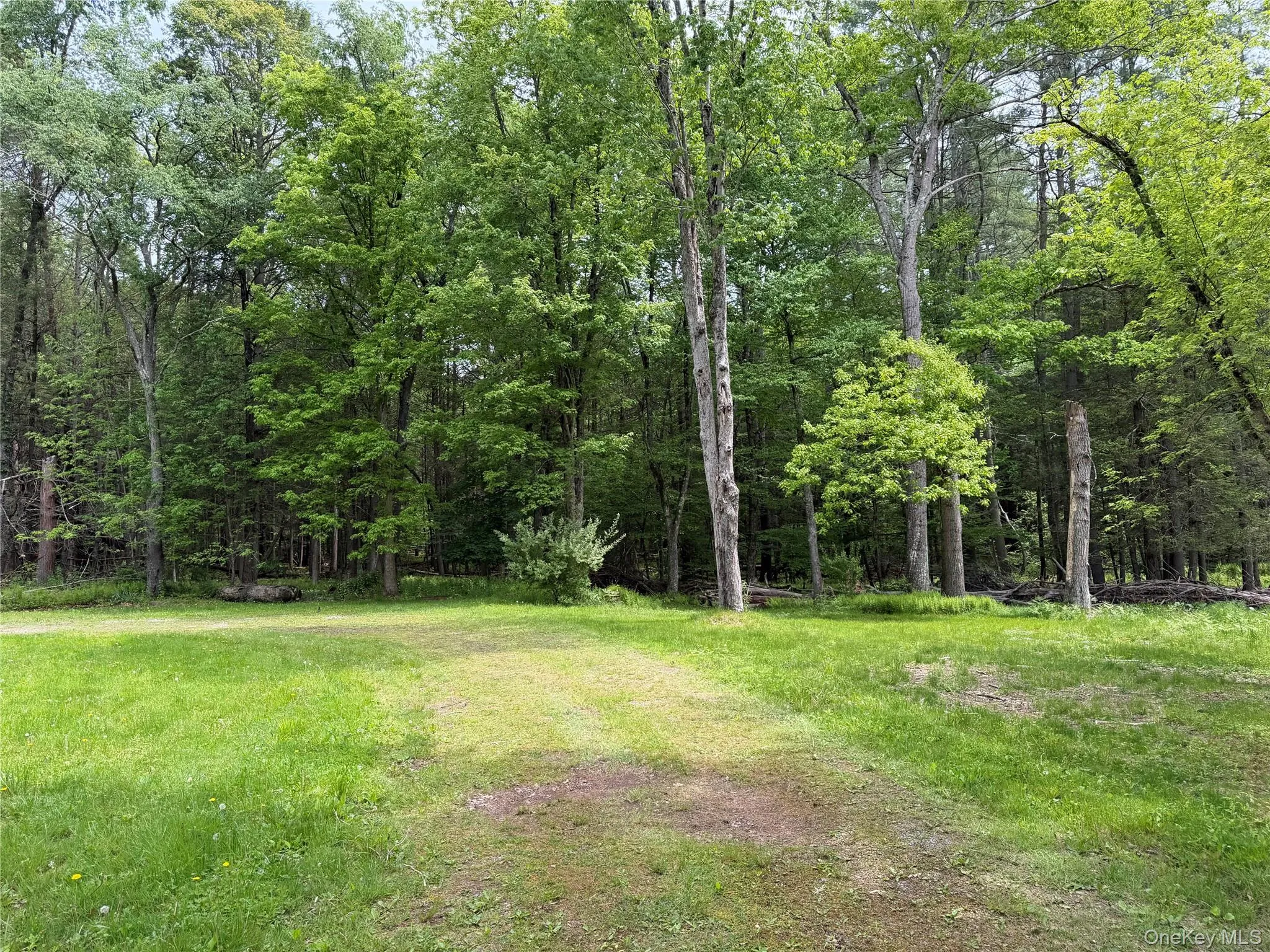 21 Hoffmann Street, Fremont, NY, 3 Bedrooms Bedrooms, 5 Rooms Rooms,2 BathroomsBathrooms,Residential,For Rent,Hoffmann,0,991587 21 Hoffmann Street, Fremont, NY, 3 Bedrooms Bedrooms, 5 Rooms Rooms,2 BathroomsBathrooms,Residential,For Rent,Hoffmann,0,991587