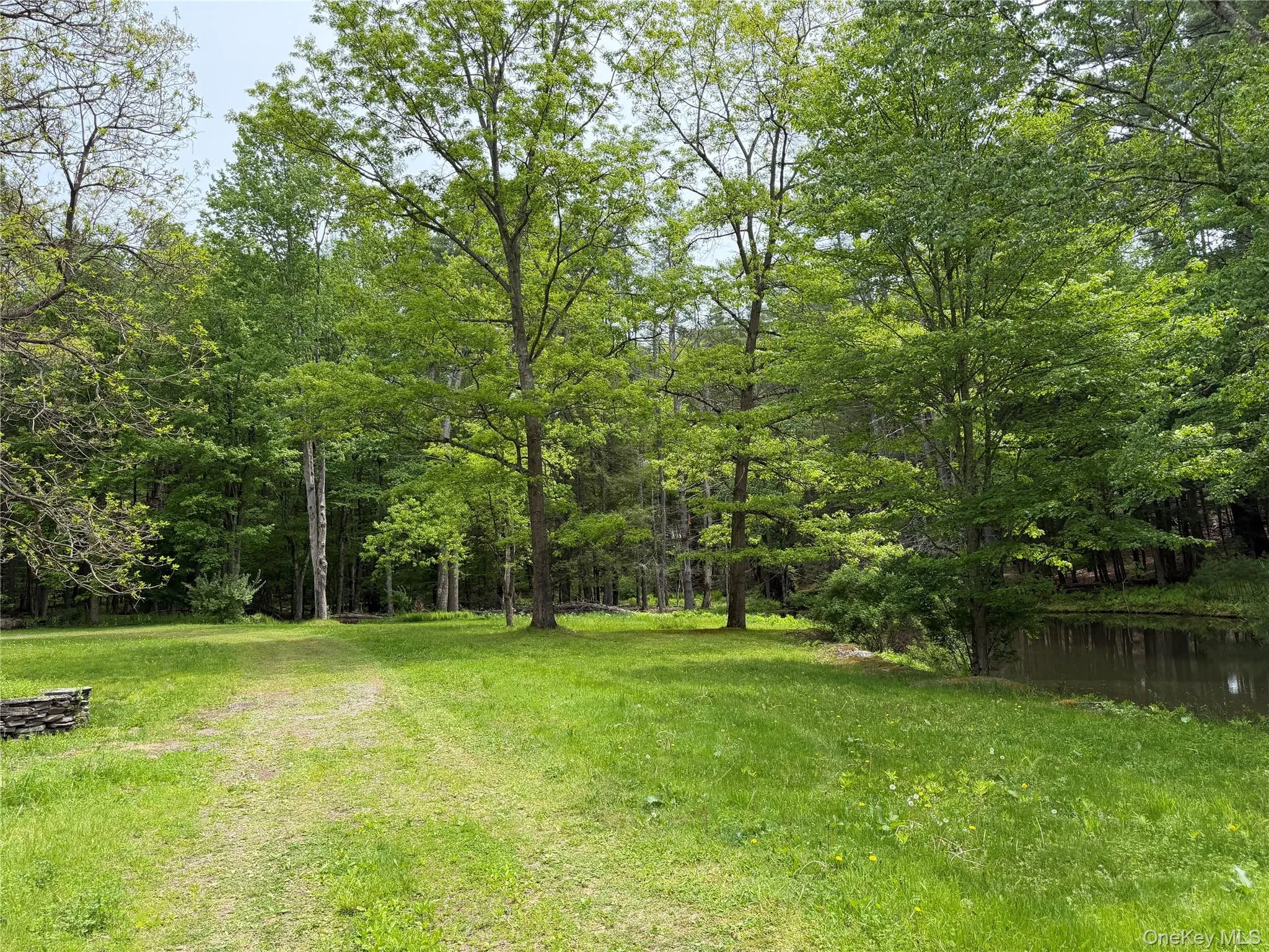 21 Hoffmann Street, Fremont, NY, 3 Bedrooms Bedrooms, 5 Rooms Rooms,2 BathroomsBathrooms,Residential,For Rent,Hoffmann,0,991587 21 Hoffmann Street, Fremont, NY, 3 Bedrooms Bedrooms, 5 Rooms Rooms,2 BathroomsBathrooms,Residential,For Rent,Hoffmann,0,991587