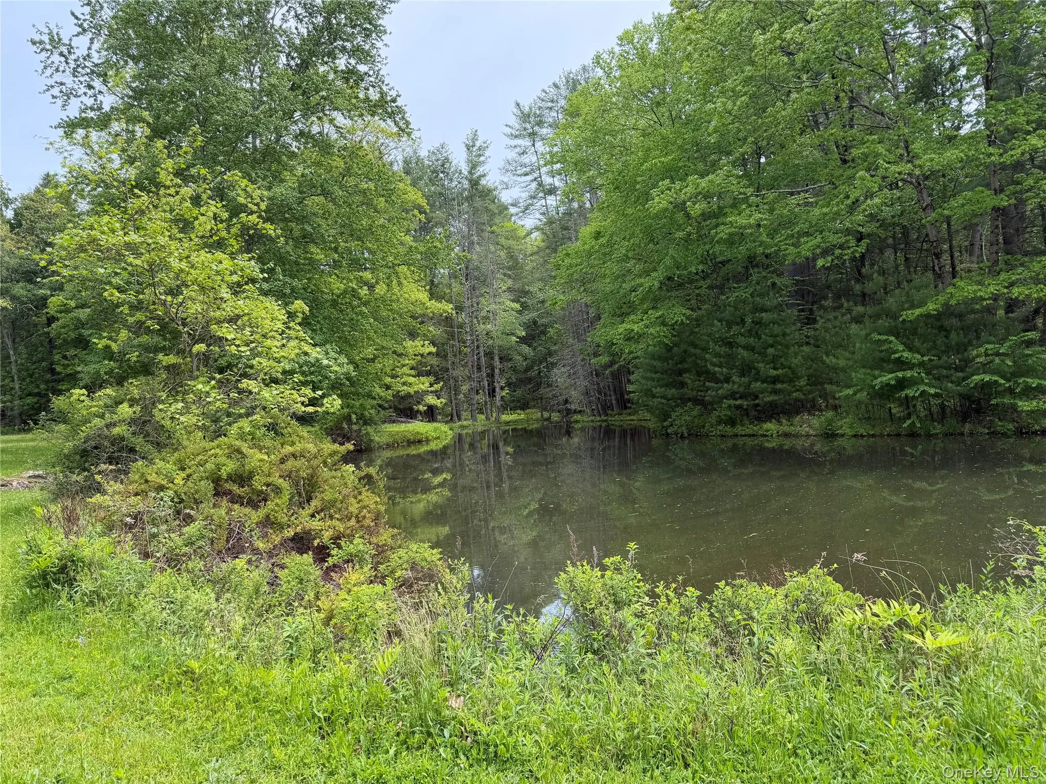 21 Hoffmann Street, Fremont, NY, 3 Bedrooms Bedrooms, 5 Rooms Rooms,2 BathroomsBathrooms,Residential,For Rent,Hoffmann,0,991587 21 Hoffmann Street, Fremont, NY, 3 Bedrooms Bedrooms, 5 Rooms Rooms,2 BathroomsBathrooms,Residential,For Rent,Hoffmann,0,991587