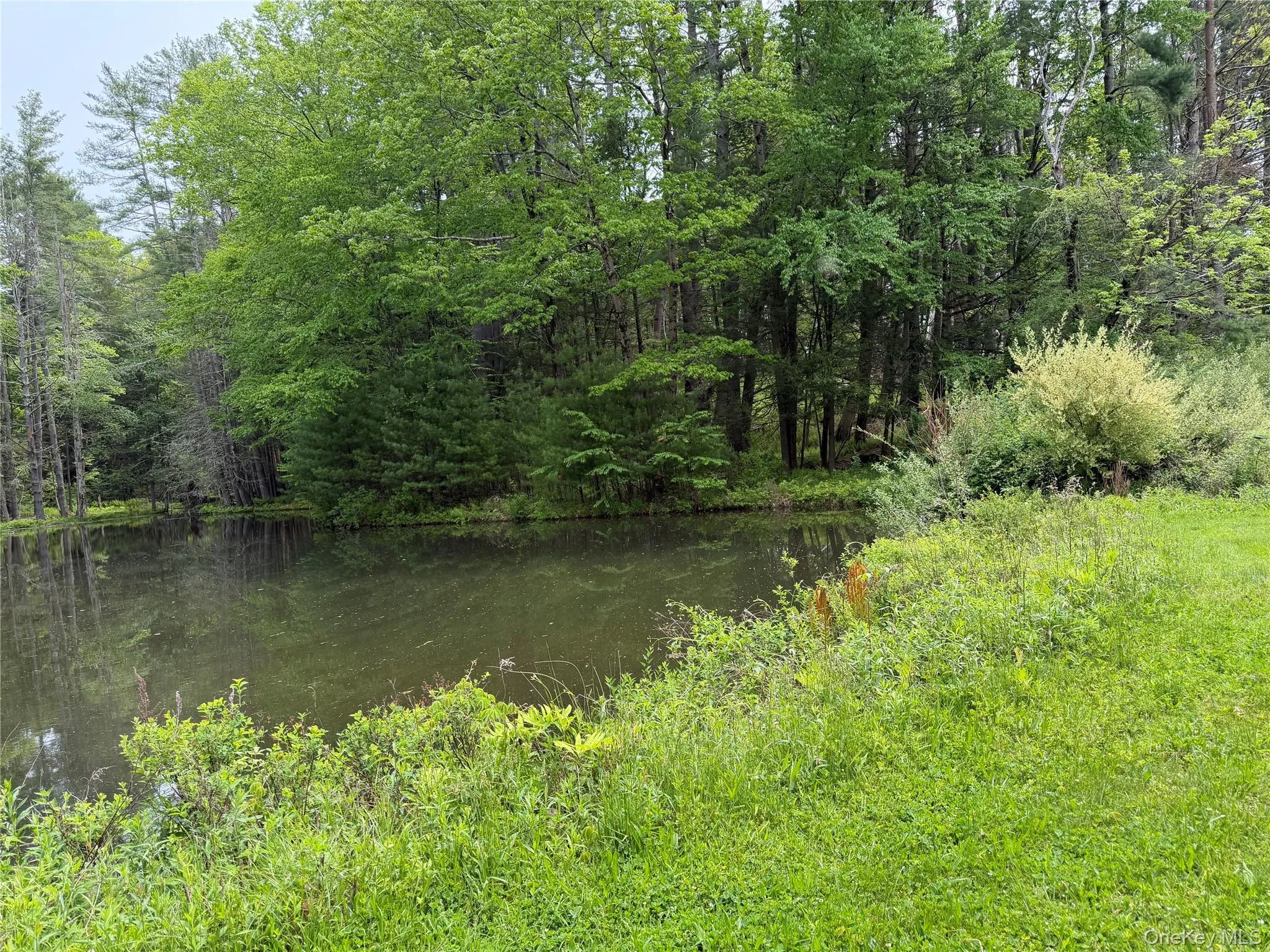21 Hoffmann Street, Fremont, NY, 3 Bedrooms Bedrooms, 5 Rooms Rooms,2 BathroomsBathrooms,Residential,For Rent,Hoffmann,0,991587 21 Hoffmann Street, Fremont, NY, 3 Bedrooms Bedrooms, 5 Rooms Rooms,2 BathroomsBathrooms,Residential,For Rent,Hoffmann,0,991587