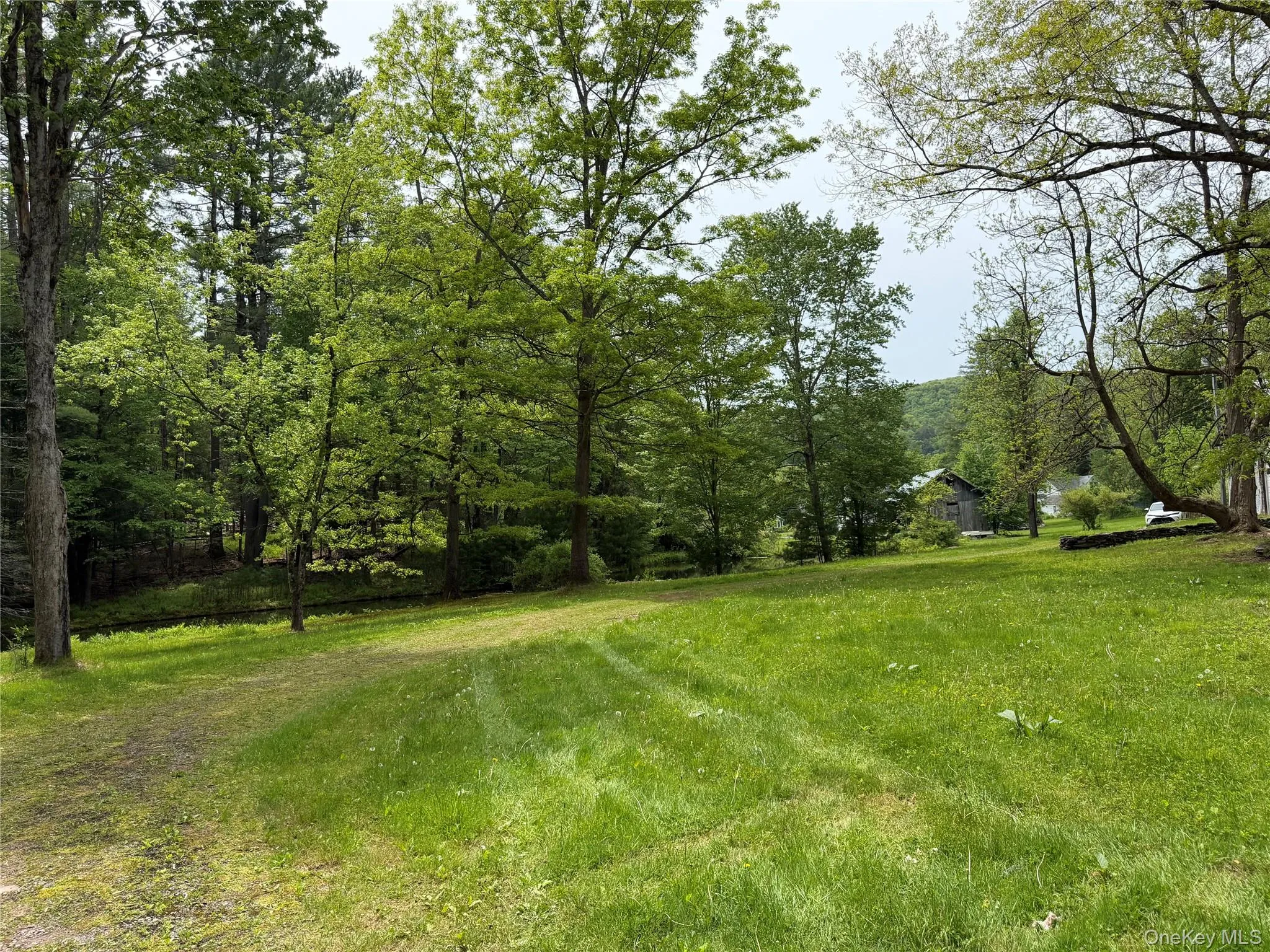 21 Hoffmann Street, Fremont, NY, 3 Bedrooms Bedrooms, 5 Rooms Rooms,2 BathroomsBathrooms,Residential,For Rent,Hoffmann,0,991587 21 Hoffmann Street, Fremont, NY, 3 Bedrooms Bedrooms, 5 Rooms Rooms,2 BathroomsBathrooms,Residential,For Rent,Hoffmann,0,991587