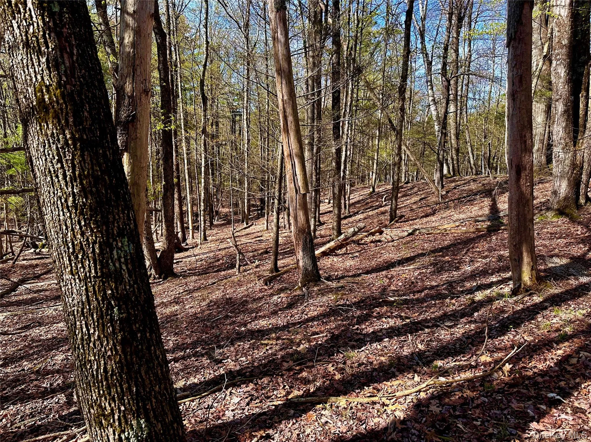 0 Lot Cross Patch Road, Woodstock, NY, ,Land,For Rent,Cross Patch,0,991655 0 Lot Cross Patch Road, Woodstock, NY, ,Land,For Rent,Cross Patch,0,991655