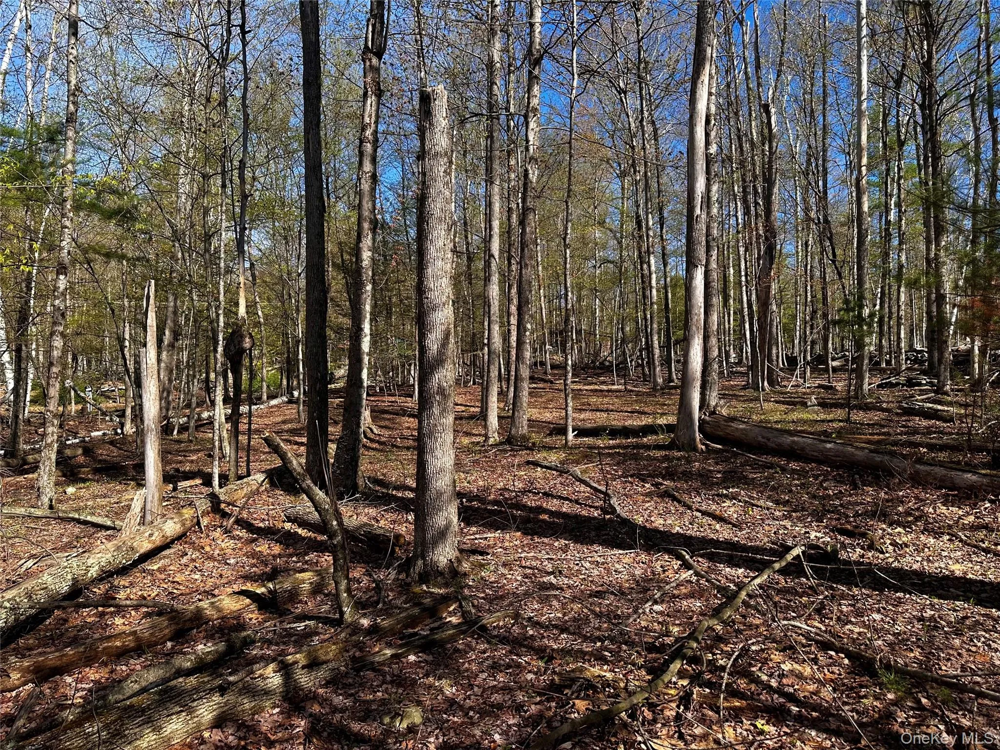 0 Lot Cross Patch Road, Woodstock, NY, ,Land,For Rent,Cross Patch,0,991655 0 Lot Cross Patch Road, Woodstock, NY, ,Land,For Rent,Cross Patch,0,991655