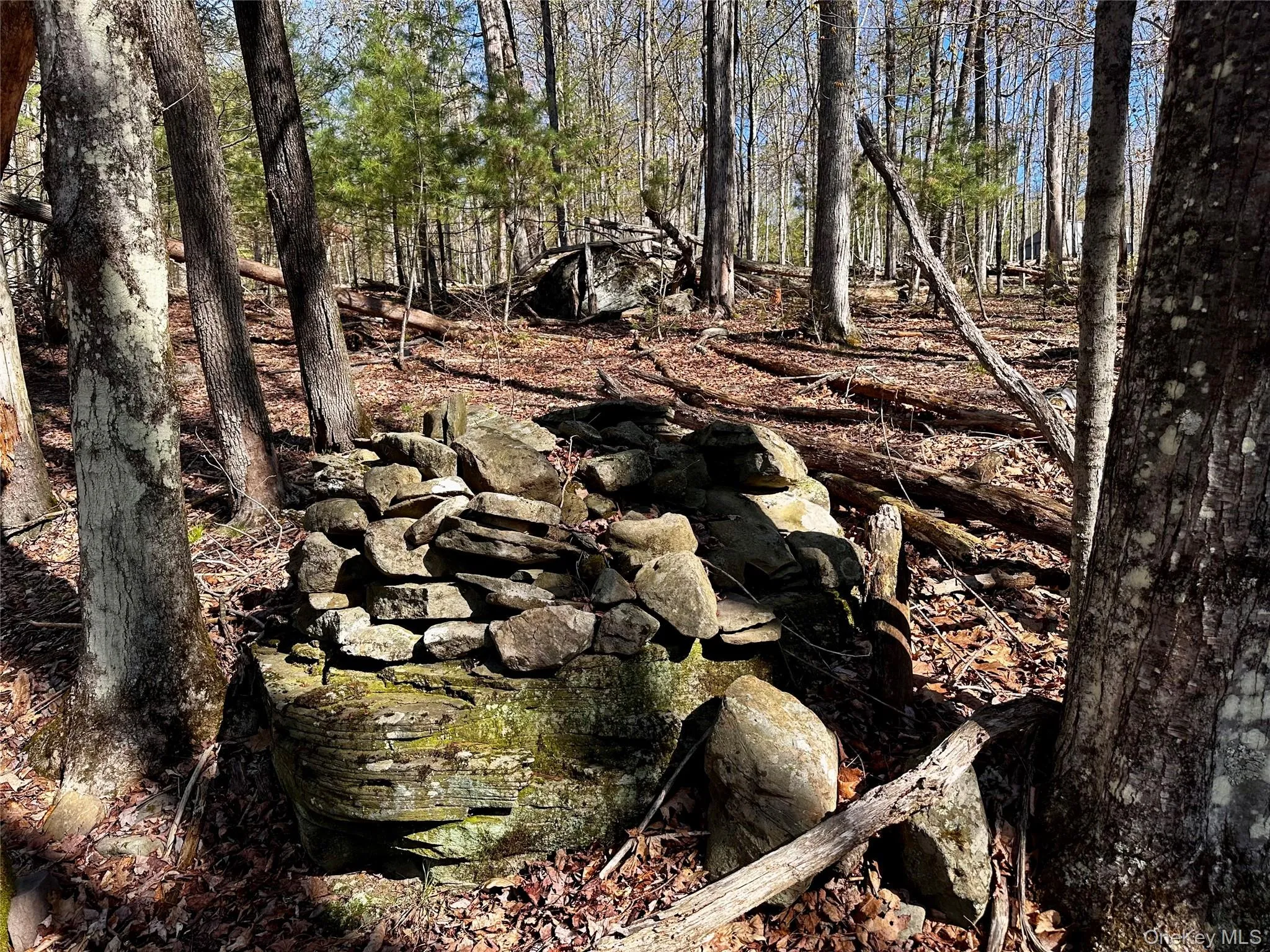 0 Lot Cross Patch Road, Woodstock, NY, ,Land,For Rent,Cross Patch,0,991655 0 Lot Cross Patch Road, Woodstock, NY, ,Land,For Rent,Cross Patch,0,991655