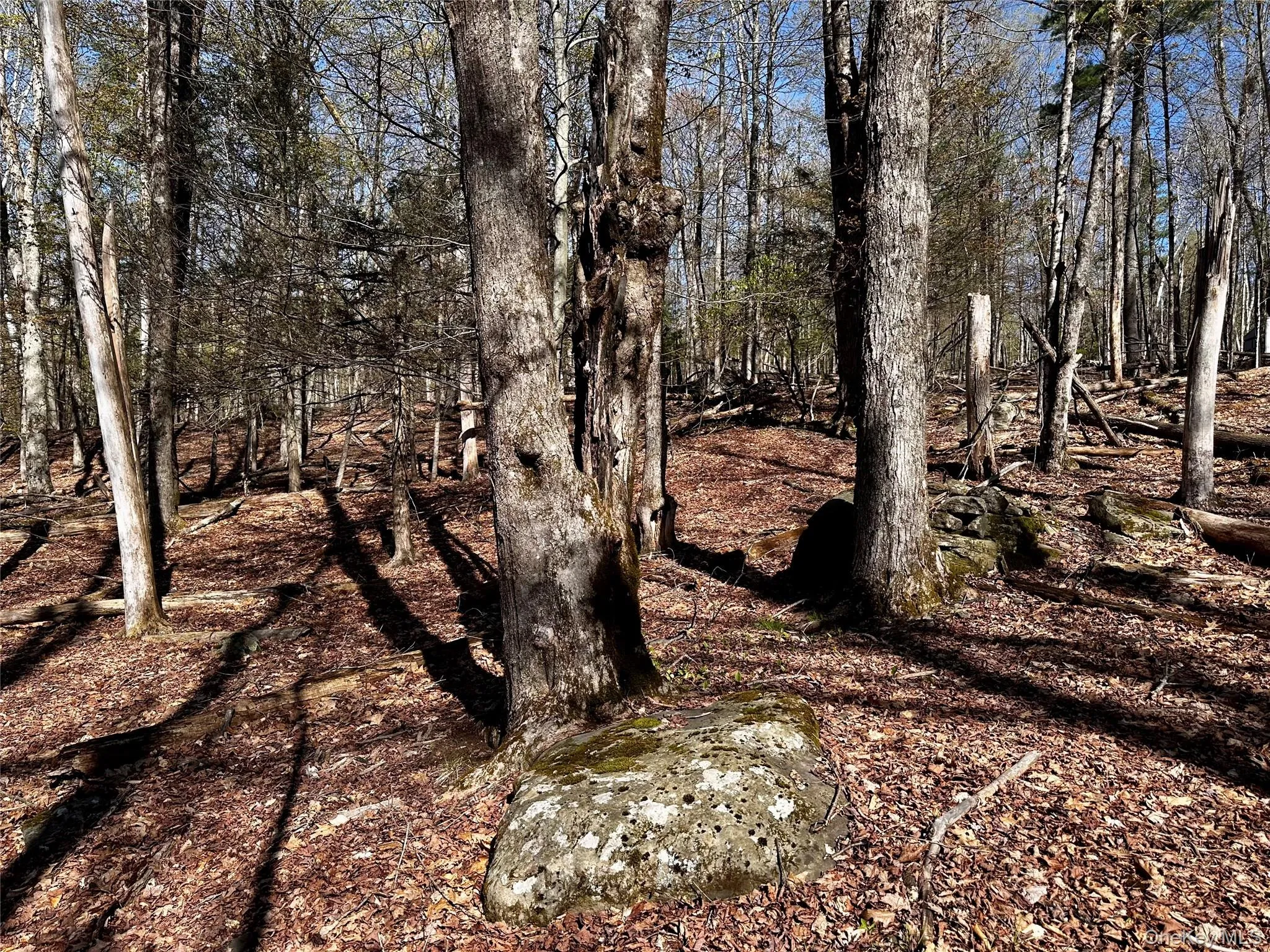 0 Lot Cross Patch Road, Woodstock, NY, ,Land,For Rent,Cross Patch,0,991655 0 Lot Cross Patch Road, Woodstock, NY, ,Land,For Rent,Cross Patch,0,991655