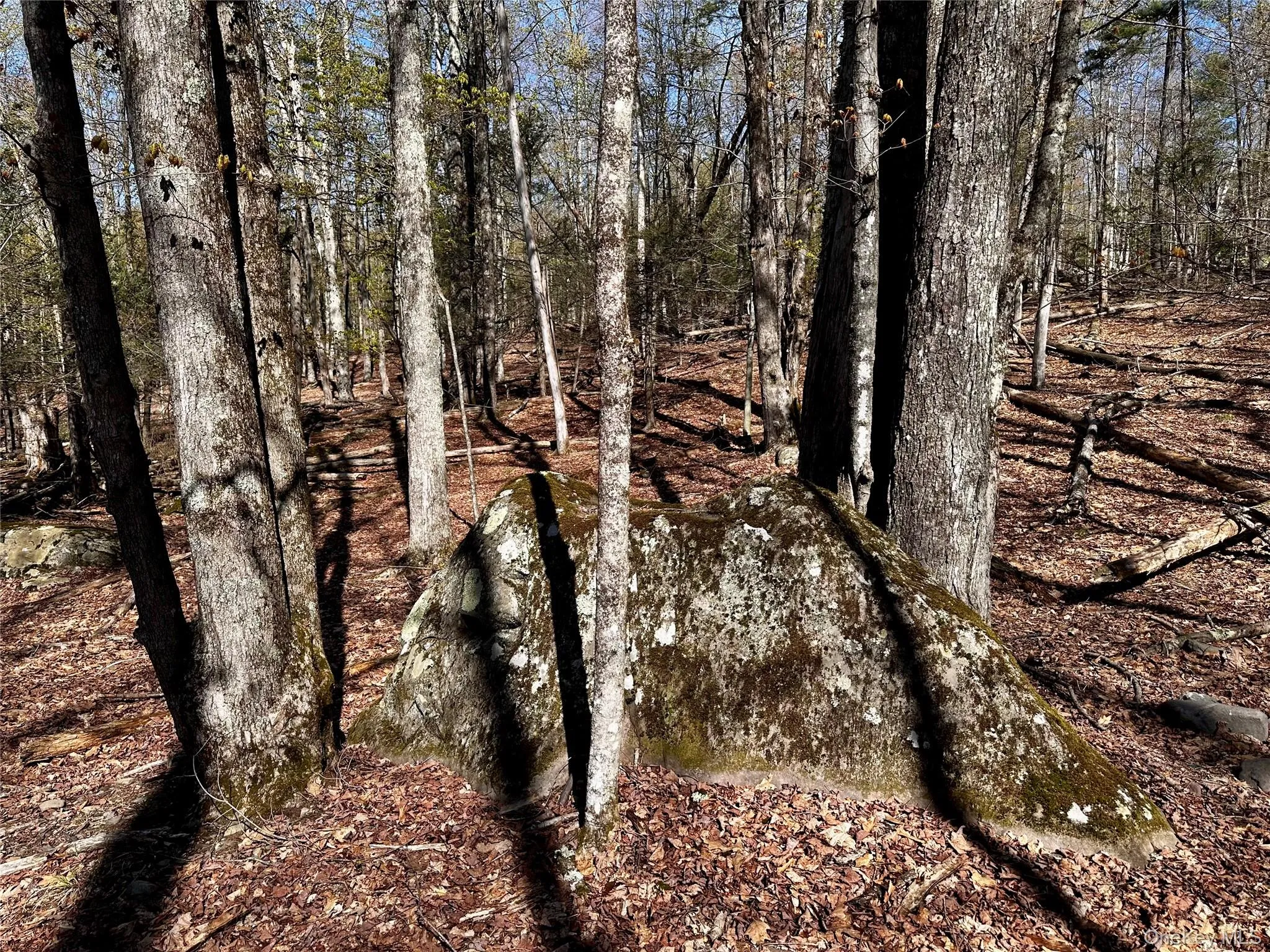 0 Lot Cross Patch Road, Woodstock, NY, ,Land,For Rent,Cross Patch,0,991655 0 Lot Cross Patch Road, Woodstock, NY, ,Land,For Rent,Cross Patch,0,991655