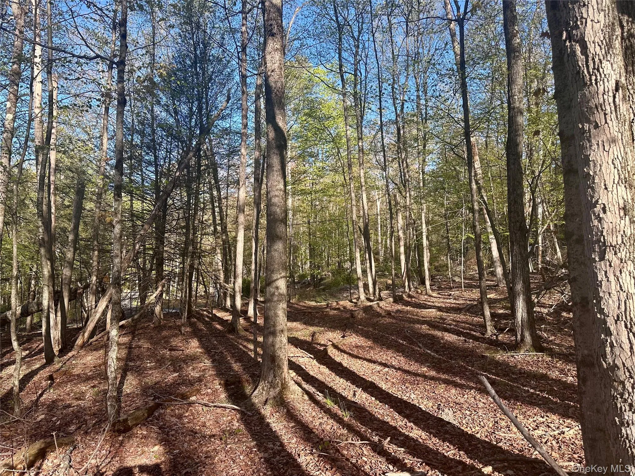 0 Lot Cross Patch Road, Woodstock, NY, ,Land,For Rent,Cross Patch,0,991655 0 Lot Cross Patch Road, Woodstock, NY, ,Land,For Rent,Cross Patch,0,991655