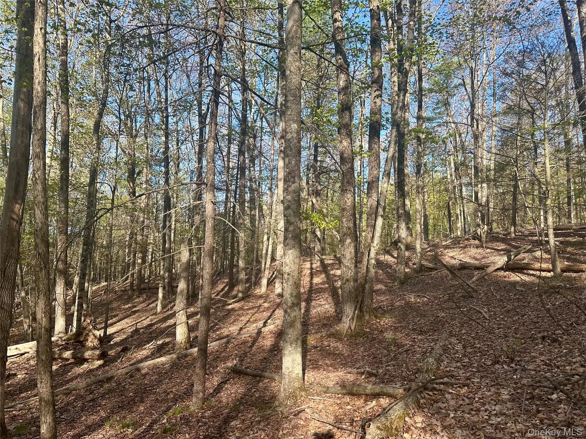 0 Lot Cross Patch Road, Woodstock, NY, ,Land,For Rent,Cross Patch,0,991655 0 Lot Cross Patch Road, Woodstock, NY, ,Land,For Rent,Cross Patch,0,991655