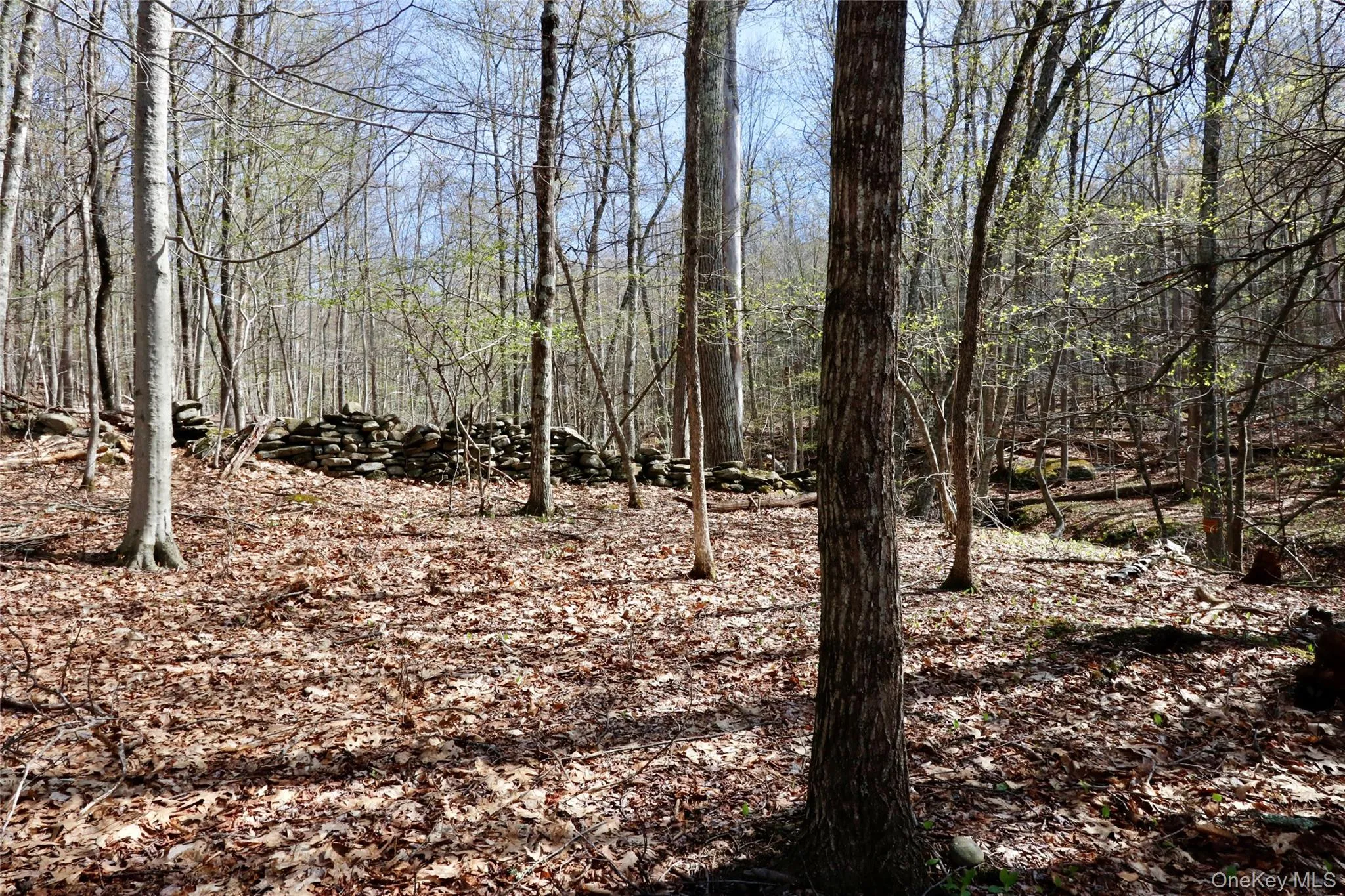 0 Lot Cross Patch Road, Woodstock, NY, ,Land,For Rent,Cross Patch,0,991655 0 Lot Cross Patch Road, Woodstock, NY, ,Land,For Rent,Cross Patch,0,991655