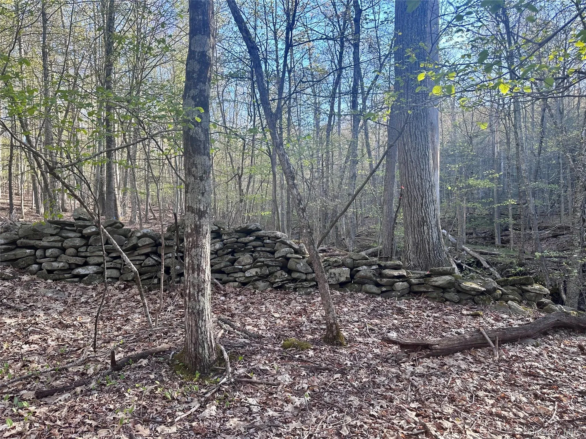 0 Lot Cross Patch Road, Woodstock, NY, ,Land,For Rent,Cross Patch,0,991655 0 Lot Cross Patch Road, Woodstock, NY, ,Land,For Rent,Cross Patch,0,991655