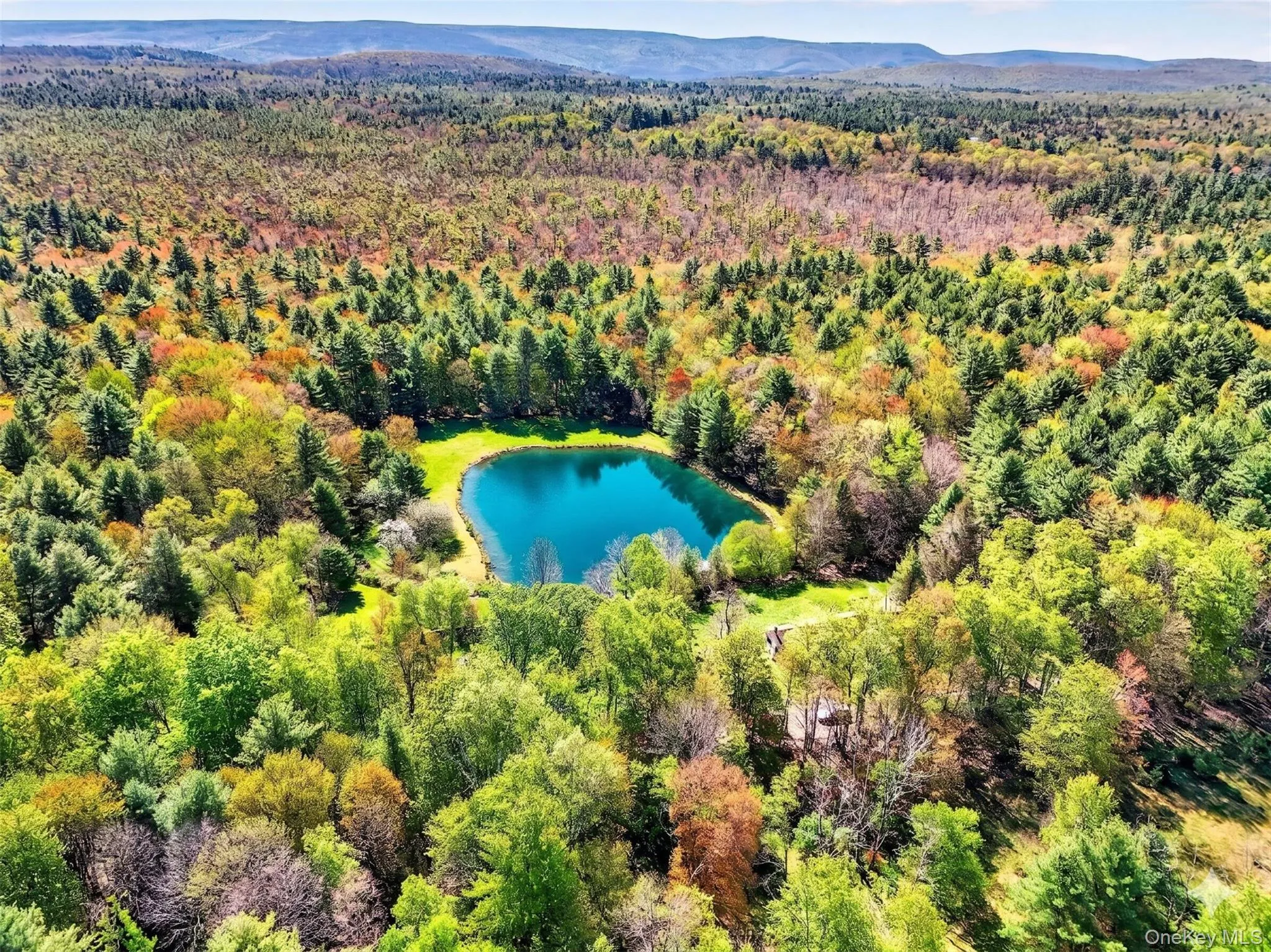 70 Spook Hole Road, Wawarsing, NY, ,Land,For Rent,Spook Hole,0,991735 70 Spook Hole Road, Wawarsing, NY, ,Land,For Rent,Spook Hole,0,991735