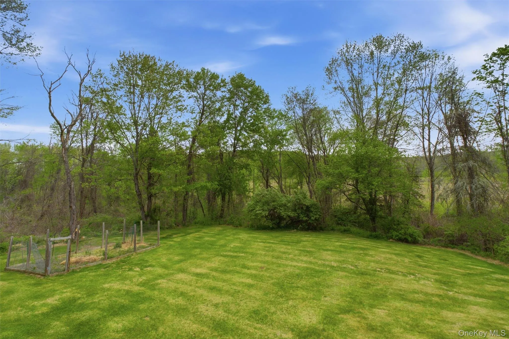 Expansive green lawn with mature trees bordering the property that leads to protected wetlands. Expansive green lawn with mature trees bordering the property that leads to protected wetlands.