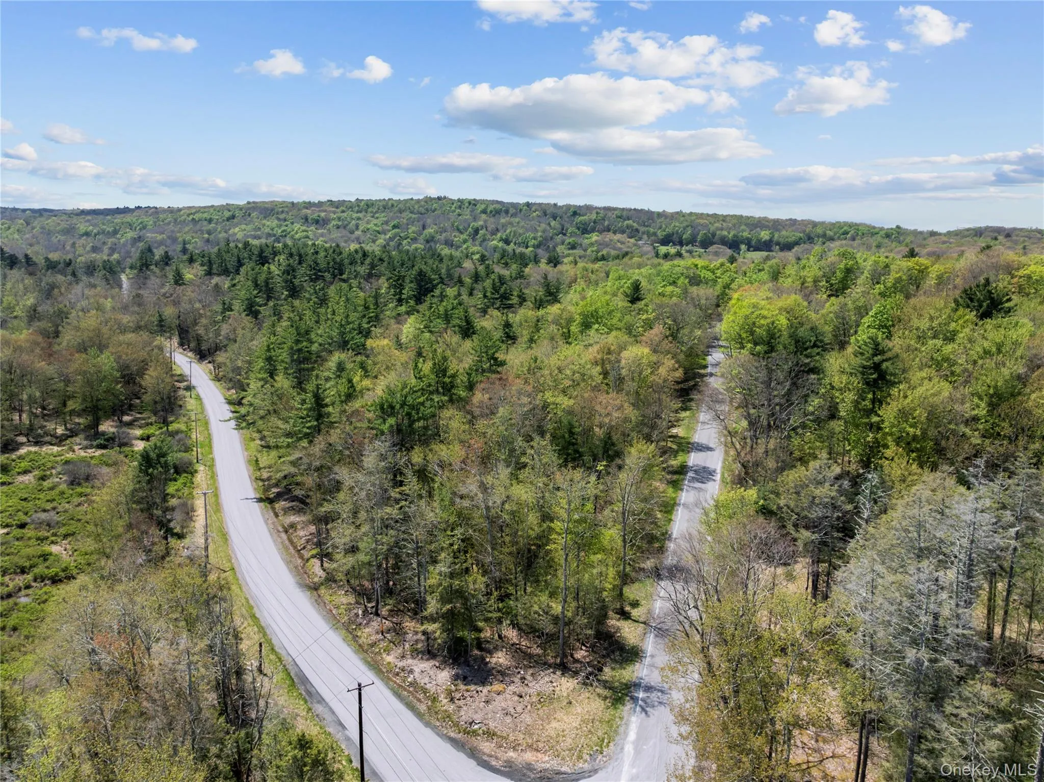 Church rd & Taylor Road, Fallsburg, NY, ,Land,For Rent,Church rd & Taylor,0,991768 Church rd & Taylor Road, Fallsburg, NY, ,Land,For Rent,Church rd & Taylor,0,991768