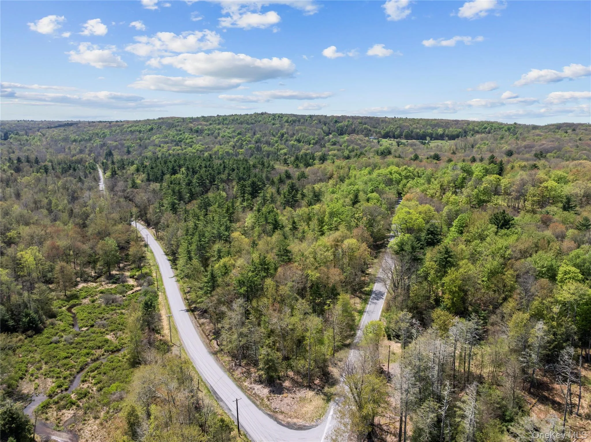 Church rd & Taylor Road, Fallsburg, NY, ,Land,For Rent,Church rd & Taylor,0,991768 Church rd & Taylor Road, Fallsburg, NY, ,Land,For Rent,Church rd & Taylor,0,991768