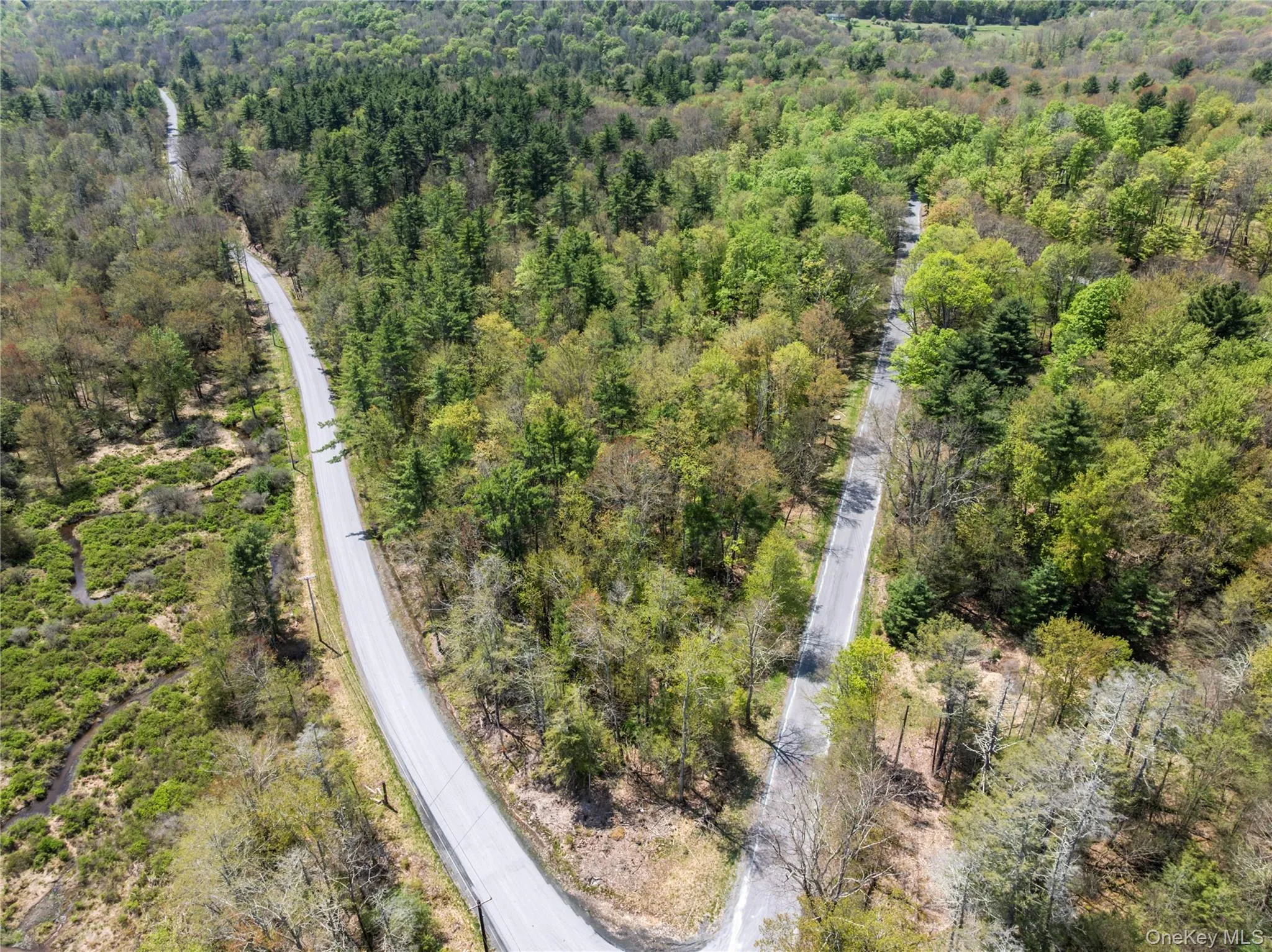Church rd & Taylor Road, Fallsburg, NY, ,Land,For Rent,Church rd & Taylor,0,991768 Church rd & Taylor Road, Fallsburg, NY, ,Land,For Rent,Church rd & Taylor,0,991768