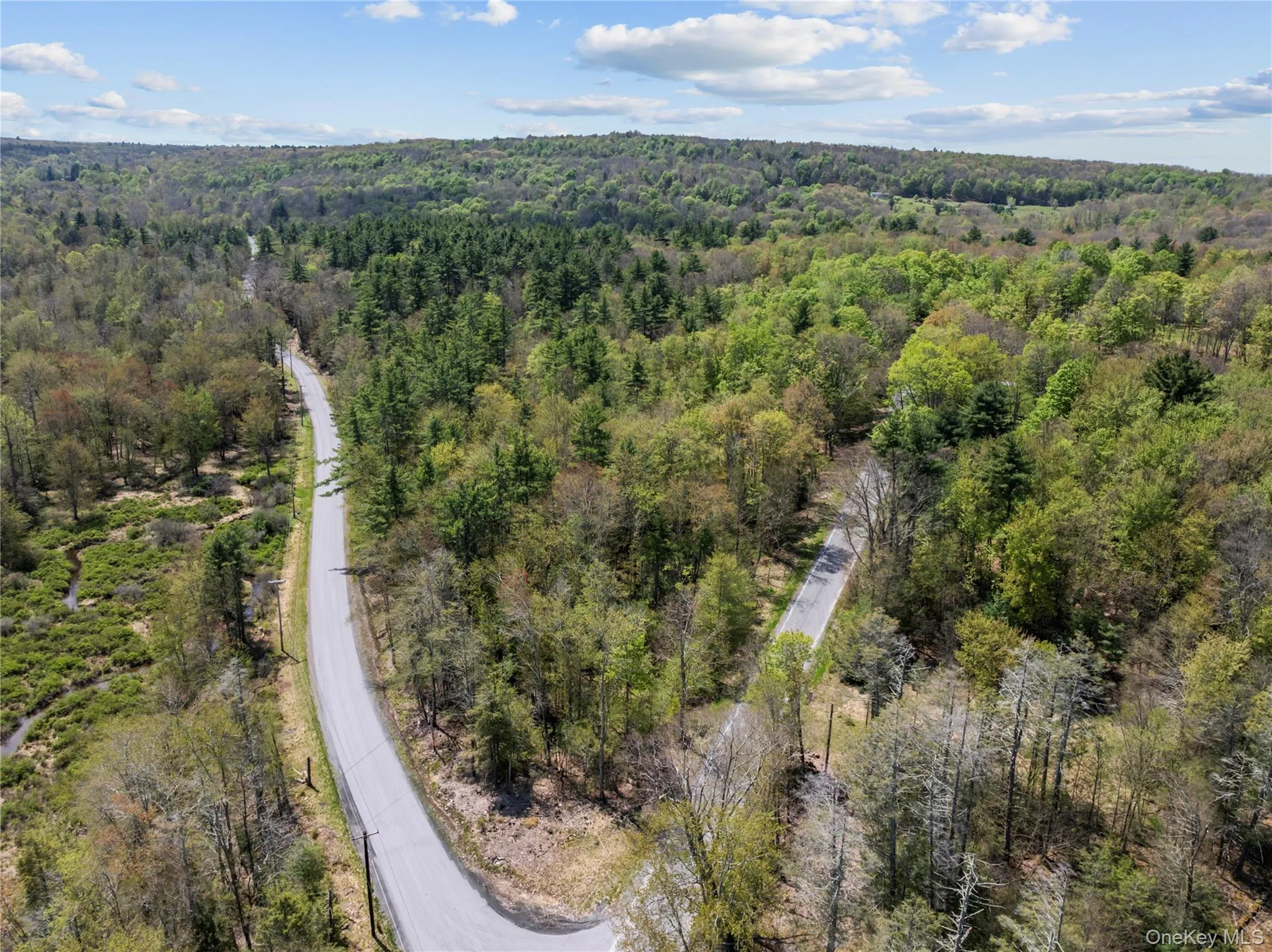 Church rd & Taylor Road, Fallsburg, NY, ,Land,For Rent,Church rd & Taylor,0,991768 Church rd & Taylor Road, Fallsburg, NY, ,Land,For Rent,Church rd & Taylor,0,991768