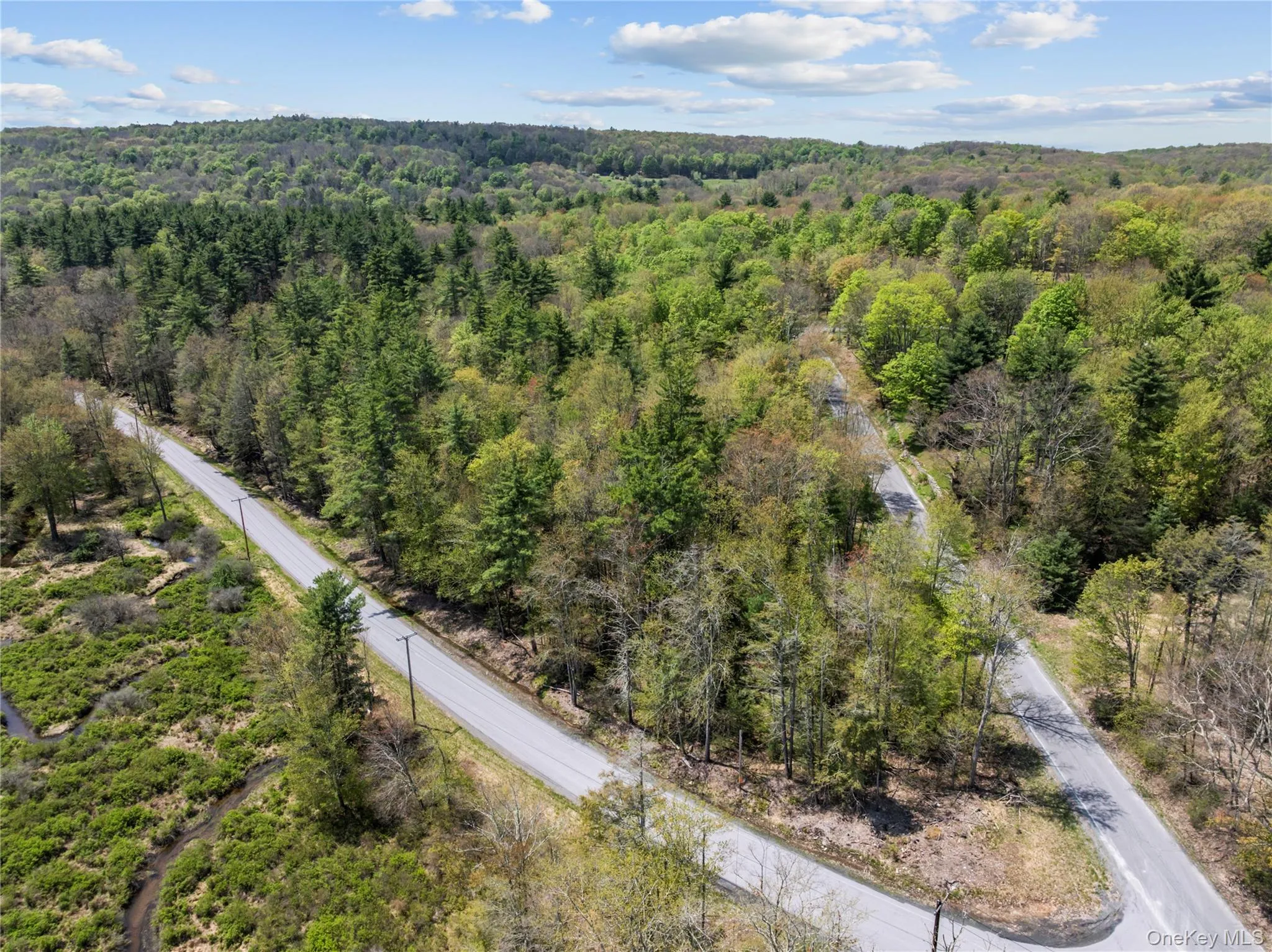Church rd & Taylor Road, Fallsburg, NY, ,Land,For Rent,Church rd & Taylor,0,991768 Church rd & Taylor Road, Fallsburg, NY, ,Land,For Rent,Church rd & Taylor,0,991768