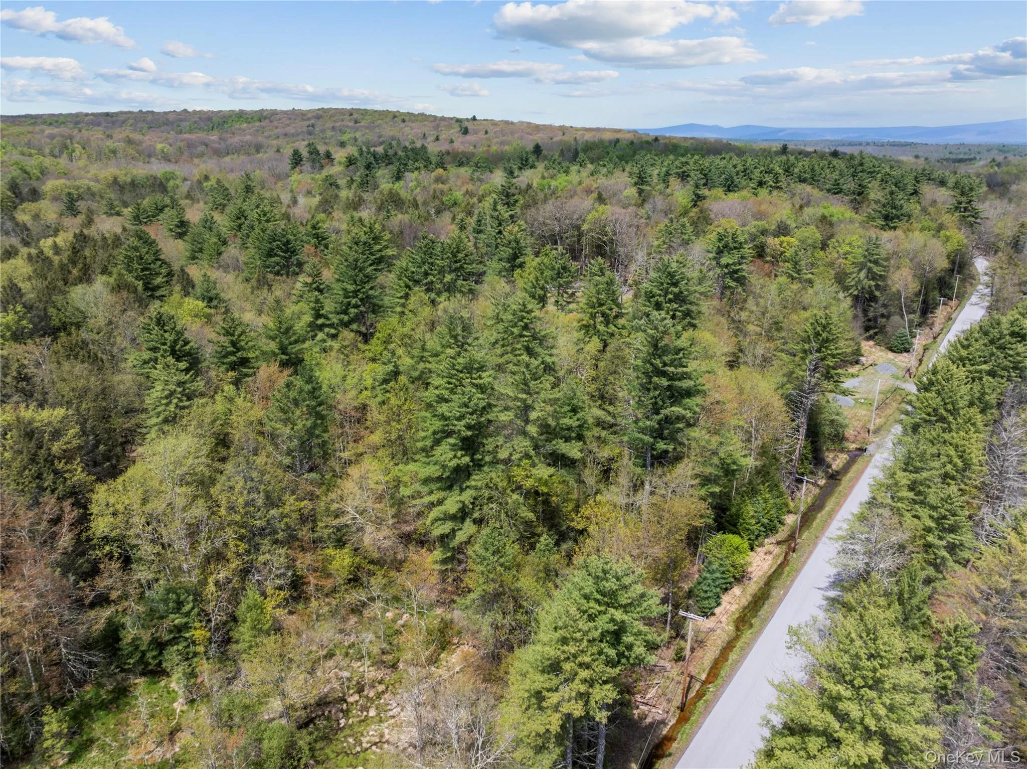 Church rd & Taylor Road, Fallsburg, NY, ,Land,For Rent,Church rd & Taylor,0,991768 Church rd & Taylor Road, Fallsburg, NY, ,Land,For Rent,Church rd & Taylor,0,991768