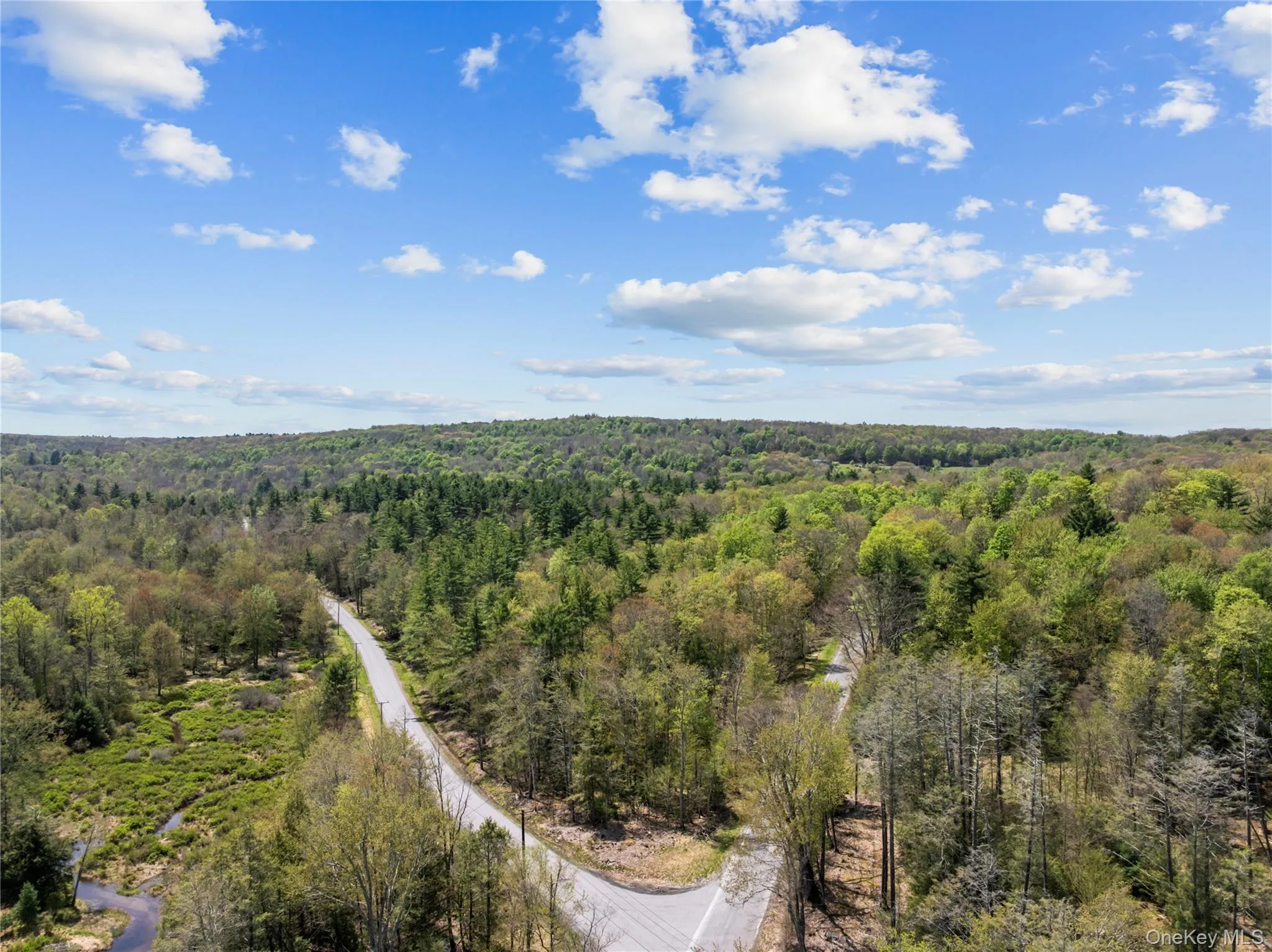 Church rd & Taylor Road, Fallsburg, NY, ,Land,For Rent,Church rd & Taylor,0,991768 Church rd & Taylor Road, Fallsburg, NY, ,Land,For Rent,Church rd & Taylor,0,991768