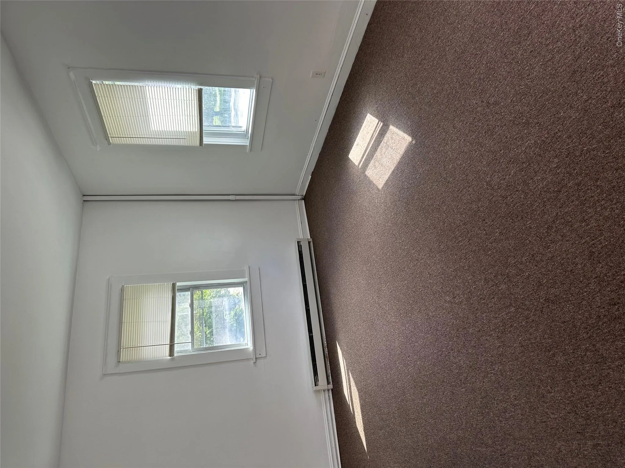 Carpeted spare room featuring baseboard heating and a wealth of natural light Carpeted spare room featuring baseboard heating and a wealth of natural light