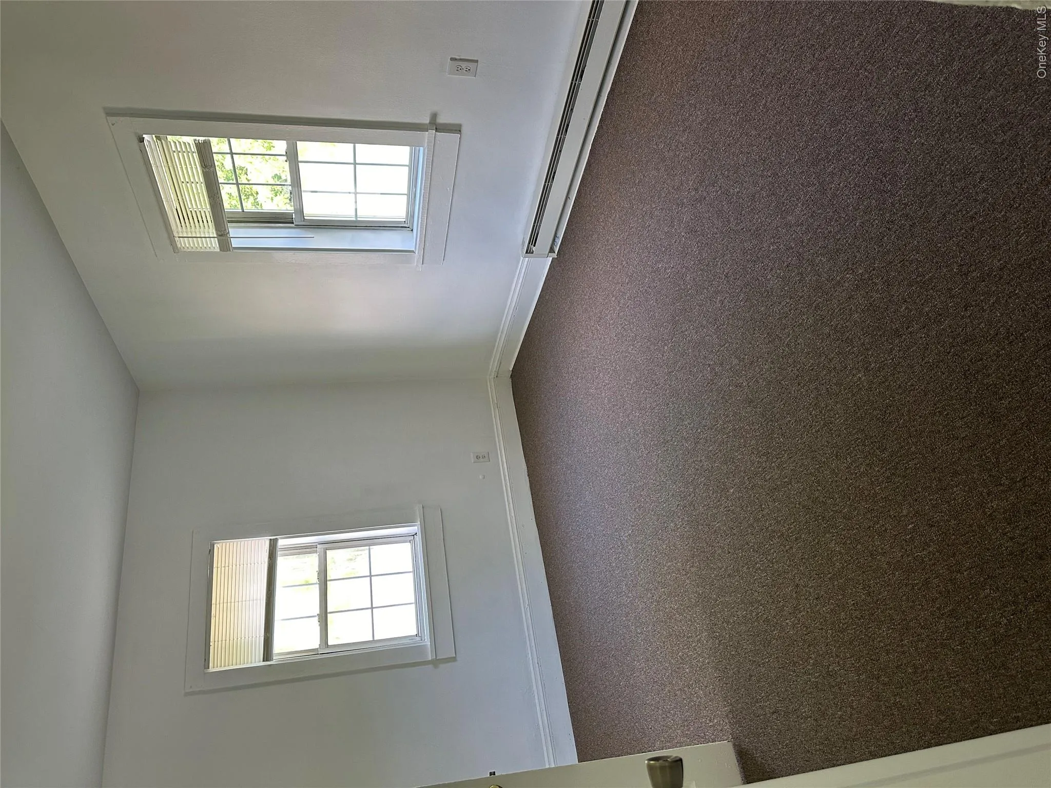 Carpeted empty room with a healthy amount of sunlight and a baseboard radiator Carpeted empty room with a healthy amount of sunlight and a baseboard radiator