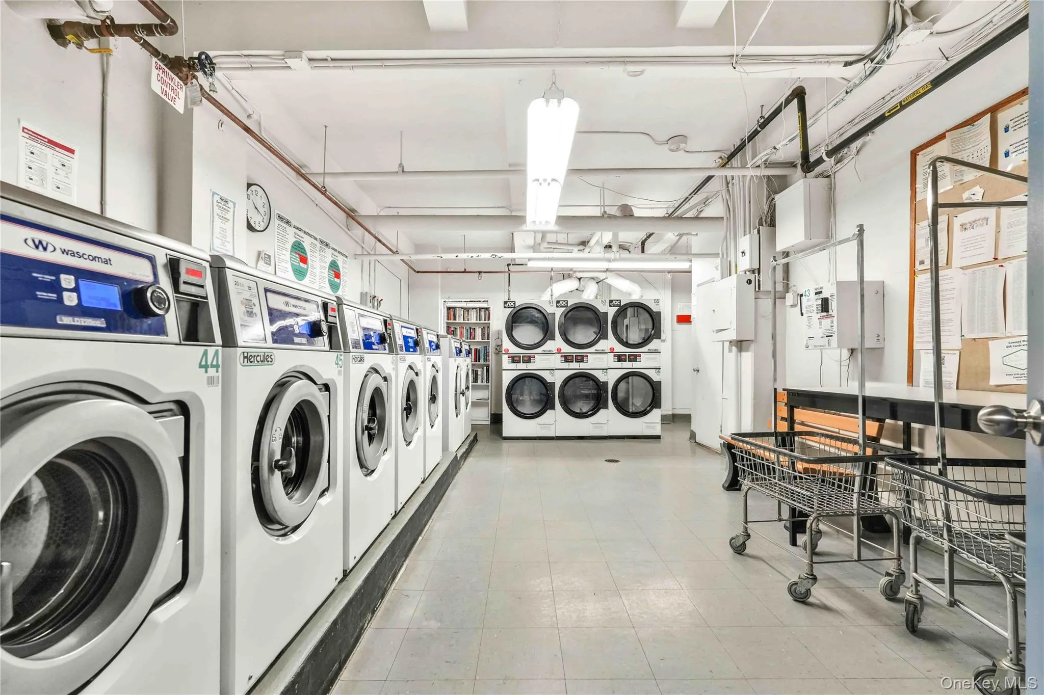 225 Adams Street, New York, NY, 2 Bedrooms Bedrooms, 4 Rooms Rooms,1 BathroomBathrooms,Residential,For Rent,Adams,0,KEY991898 225 Adams Street, New York, NY, 2 Bedrooms Bedrooms, 4 Rooms Rooms,1 BathroomBathrooms,Residential,For Rent,Adams,0,KEY991898