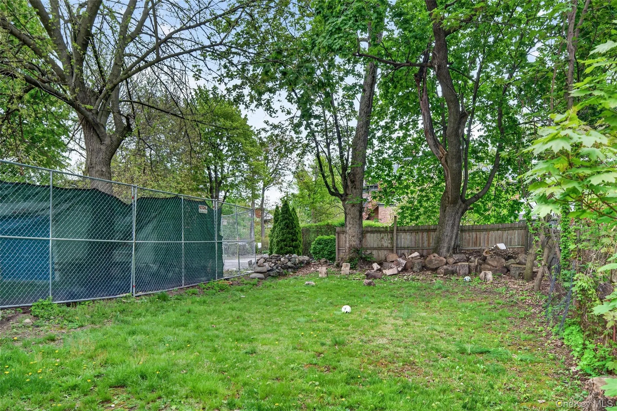 Expansive grassy yard with mature trees and perimeter fencing Expansive grassy yard with mature trees and perimeter fencing