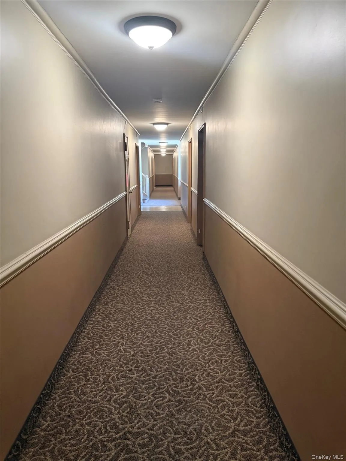 14235 84th Drive, New York, NY, 2 Bedrooms Bedrooms, 4 Rooms Rooms,1 BathroomBathrooms,Residential Lease,For Rent,84th,0,991994 14235 84th Drive, New York, NY, 2 Bedrooms Bedrooms, 4 Rooms Rooms,1 BathroomBathrooms,Residential Lease,For Rent,84th,0,991994