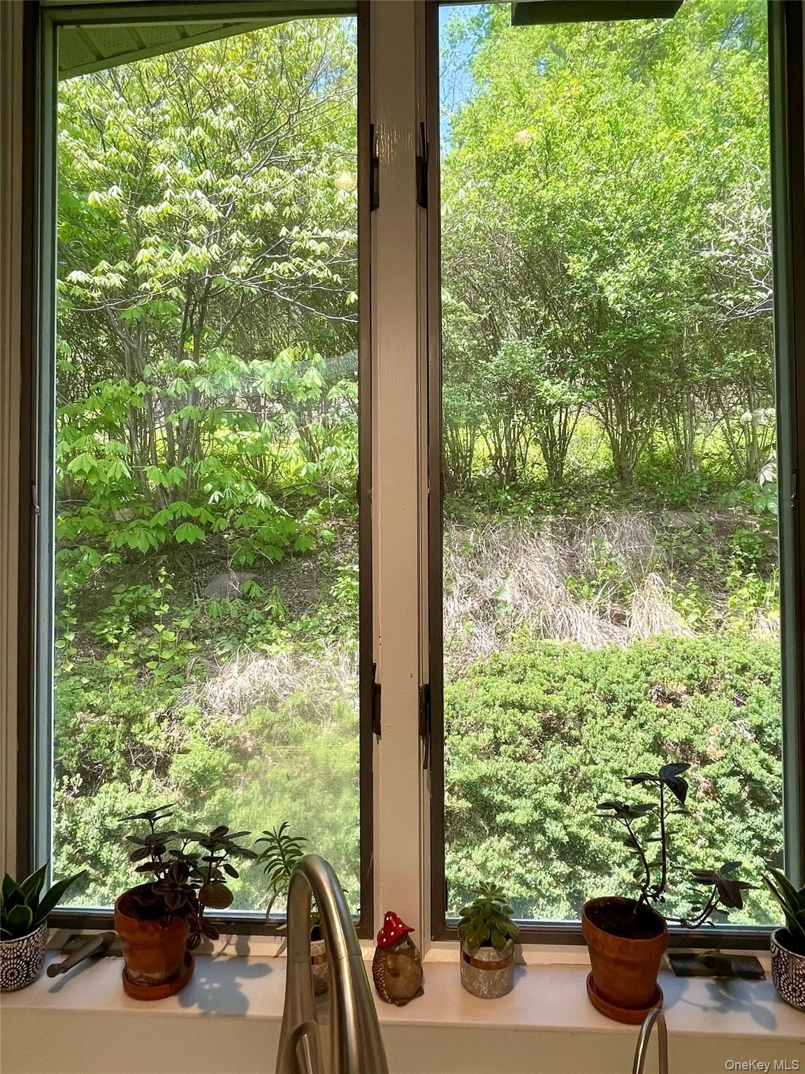 the view while doing the dishes the view while doing the dishes