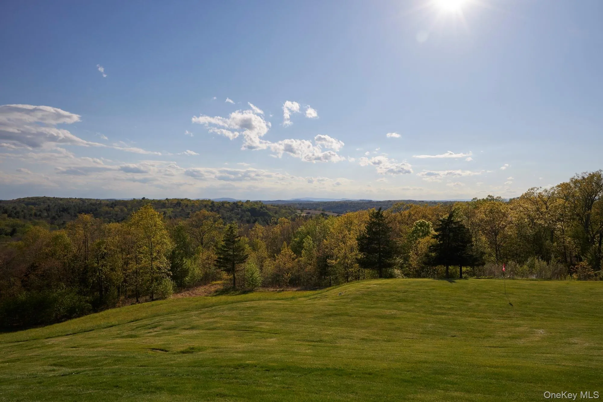 790 Stanford Road, Washington, NY, 4 Bedrooms Bedrooms, 12 Rooms Rooms,5 BathroomsBathrooms,Residential Sale,For Rent,Stanford,0,992090 790 Stanford Road, Washington, NY, 4 Bedrooms Bedrooms, 12 Rooms Rooms,5 BathroomsBathrooms,Residential Sale,For Rent,Stanford,0,992090