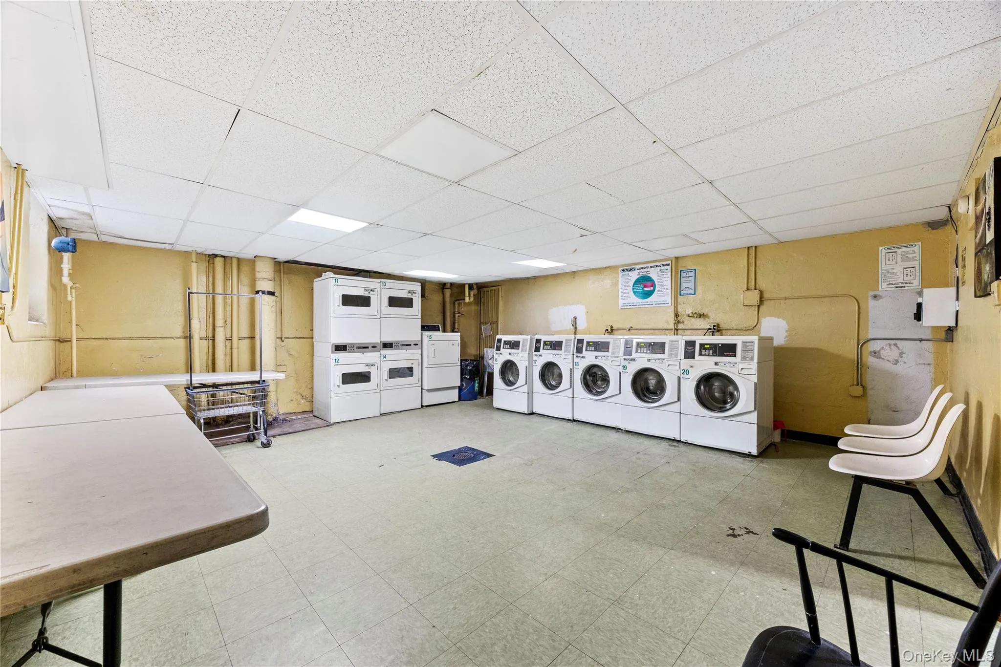 2275 Cruger Ave, New York, NY, 2 Bedrooms Bedrooms, 5 Rooms Rooms,1 BathroomBathrooms,Residential Sale,For Rent,Cruger Ave,0,992150 2275 Cruger Ave, New York, NY, 2 Bedrooms Bedrooms, 5 Rooms Rooms,1 BathroomBathrooms,Residential Sale,For Rent,Cruger Ave,0,992150