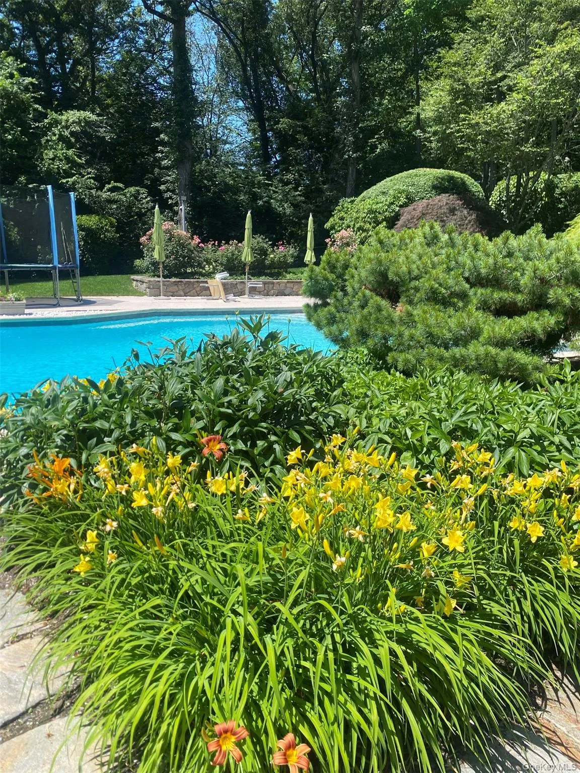 10 Cypress Point Drive, Harrison, NY, 5 Bedrooms Bedrooms, 11 Rooms Rooms,4 BathroomsBathrooms,Residential,For Rent,Cypress Point,0,992184 10 Cypress Point Drive, Harrison, NY, 5 Bedrooms Bedrooms, 11 Rooms Rooms,4 BathroomsBathrooms,Residential,For Rent,Cypress Point,0,992184
