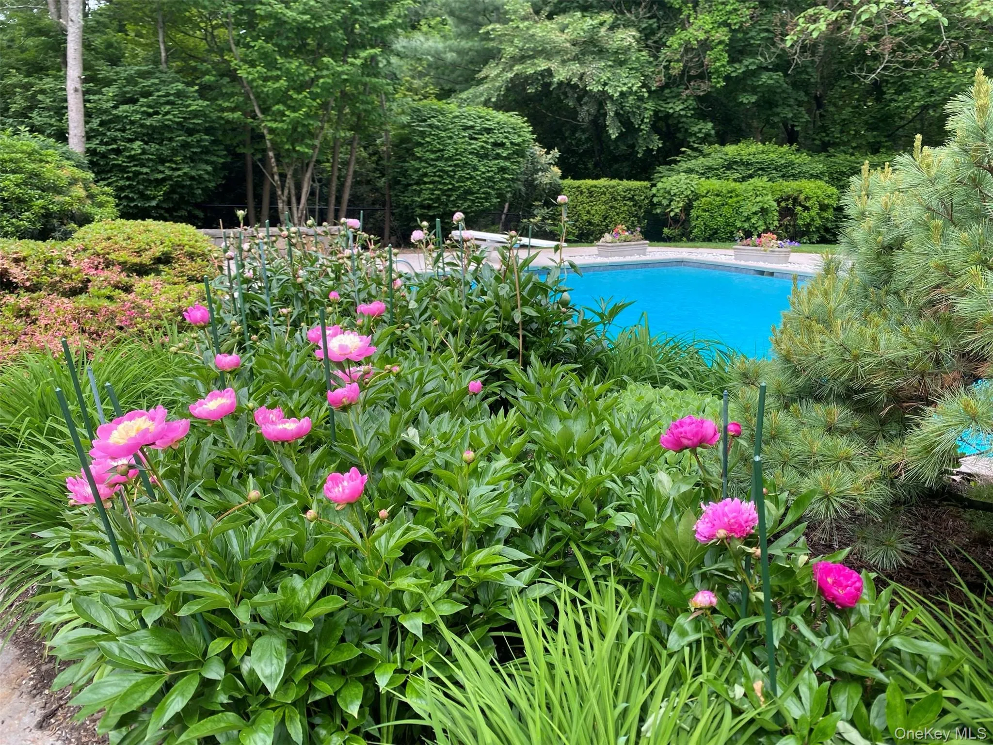 10 Cypress Point Drive, Harrison, NY, 5 Bedrooms Bedrooms, 11 Rooms Rooms,4 BathroomsBathrooms,Residential,For Rent,Cypress Point,0,992184 10 Cypress Point Drive, Harrison, NY, 5 Bedrooms Bedrooms, 11 Rooms Rooms,4 BathroomsBathrooms,Residential,For Rent,Cypress Point,0,992184