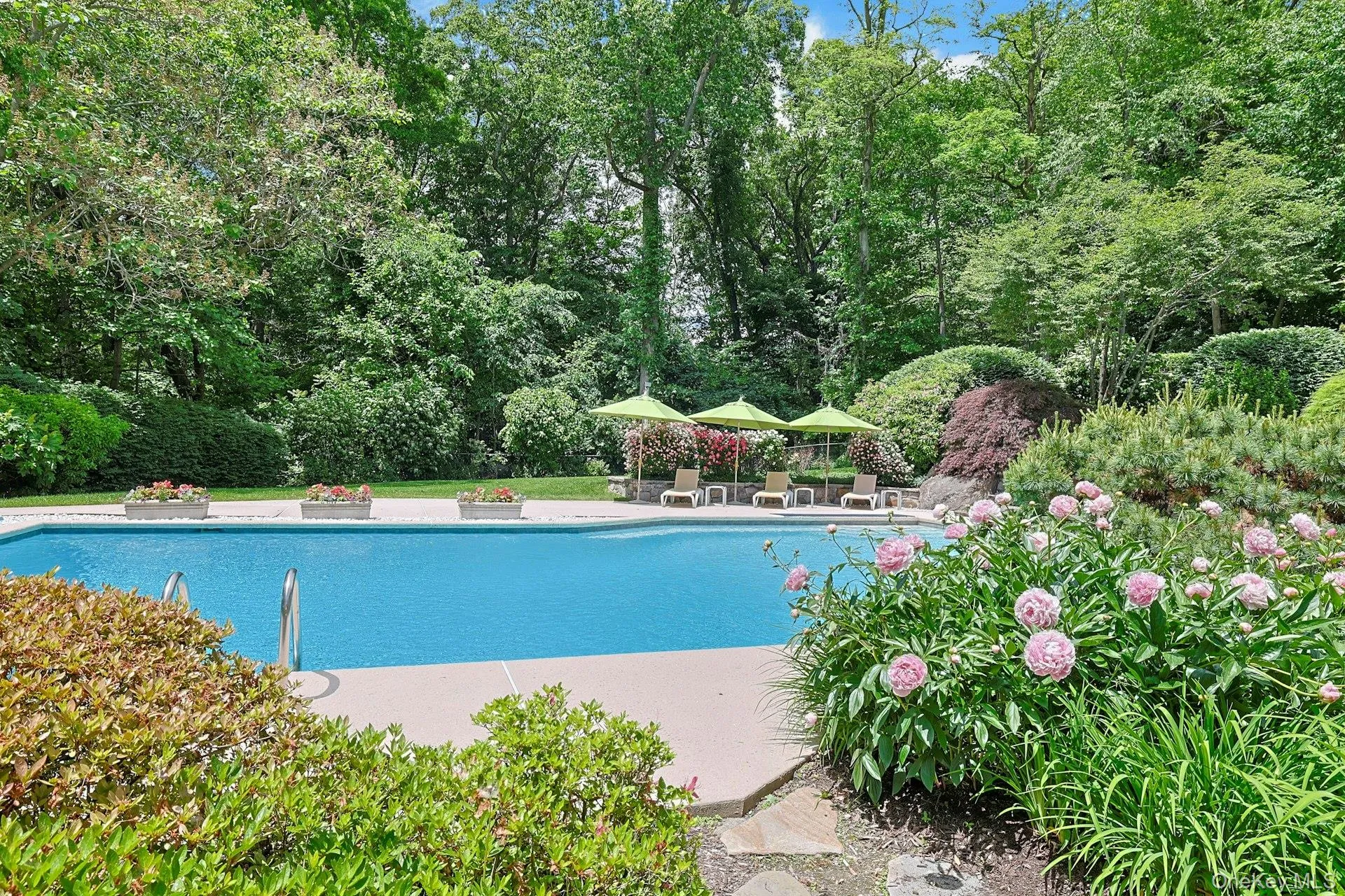 10 Cypress Point Drive, Harrison, NY, 5 Bedrooms Bedrooms, 11 Rooms Rooms,4 BathroomsBathrooms,Residential,For Rent,Cypress Point,0,992184 10 Cypress Point Drive, Harrison, NY, 5 Bedrooms Bedrooms, 11 Rooms Rooms,4 BathroomsBathrooms,Residential,For Rent,Cypress Point,0,992184