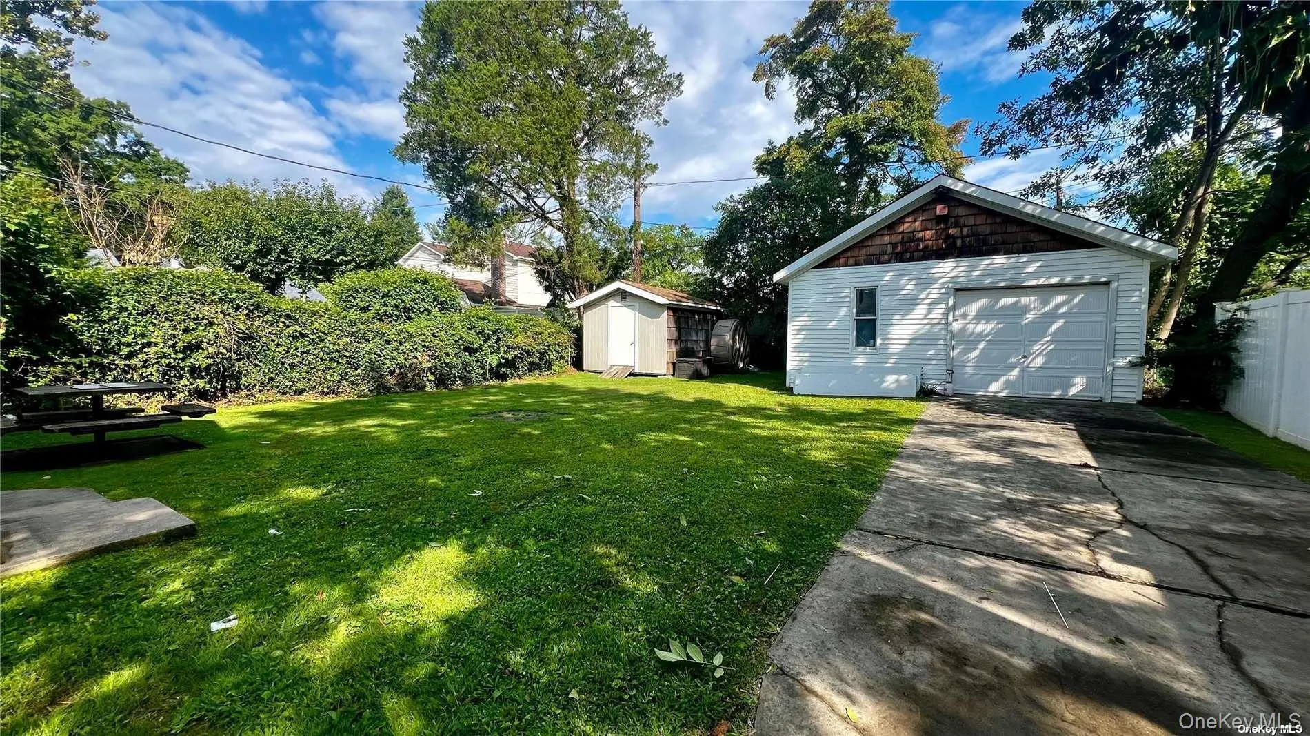 backyard backyard